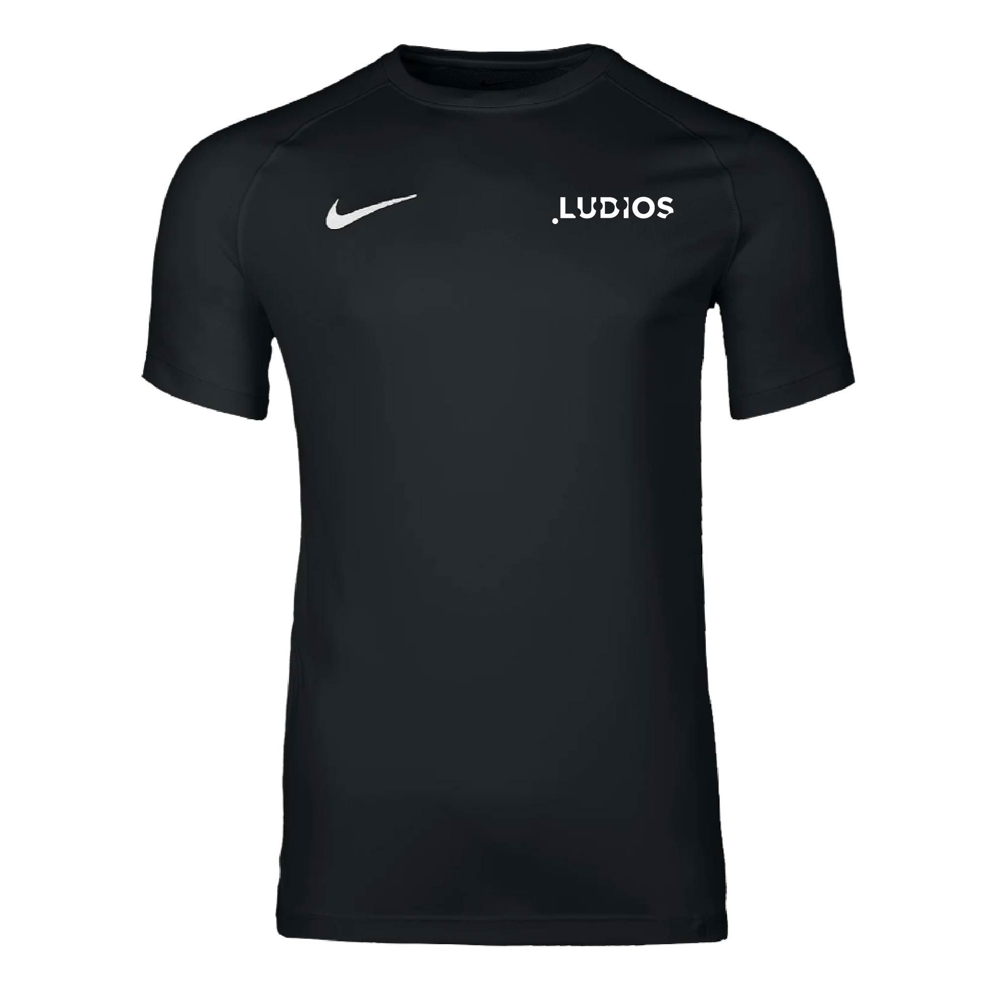 Ludios Dri-FIT Park VIII SS Shirt Heren