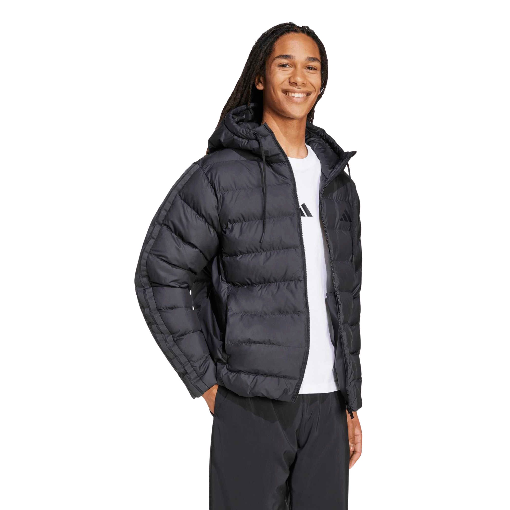 Veste Matelassée Adidas Essentials Hommes