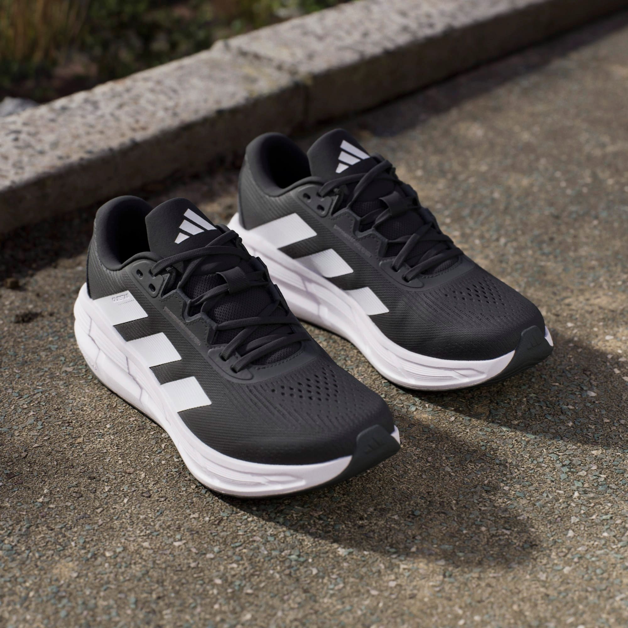 Adidas Questar 3 Hardloopschoenen Heren