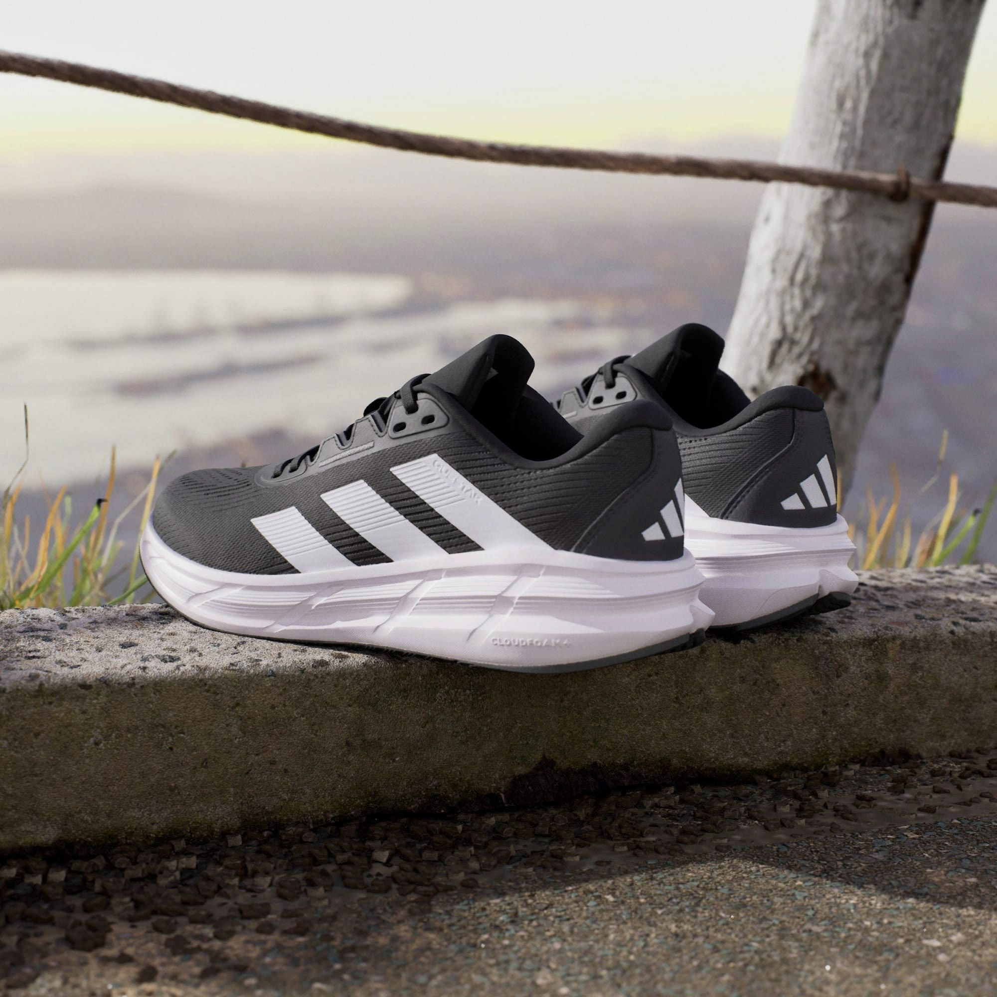 Adidas Questar 3 Hardloopschoenen Heren