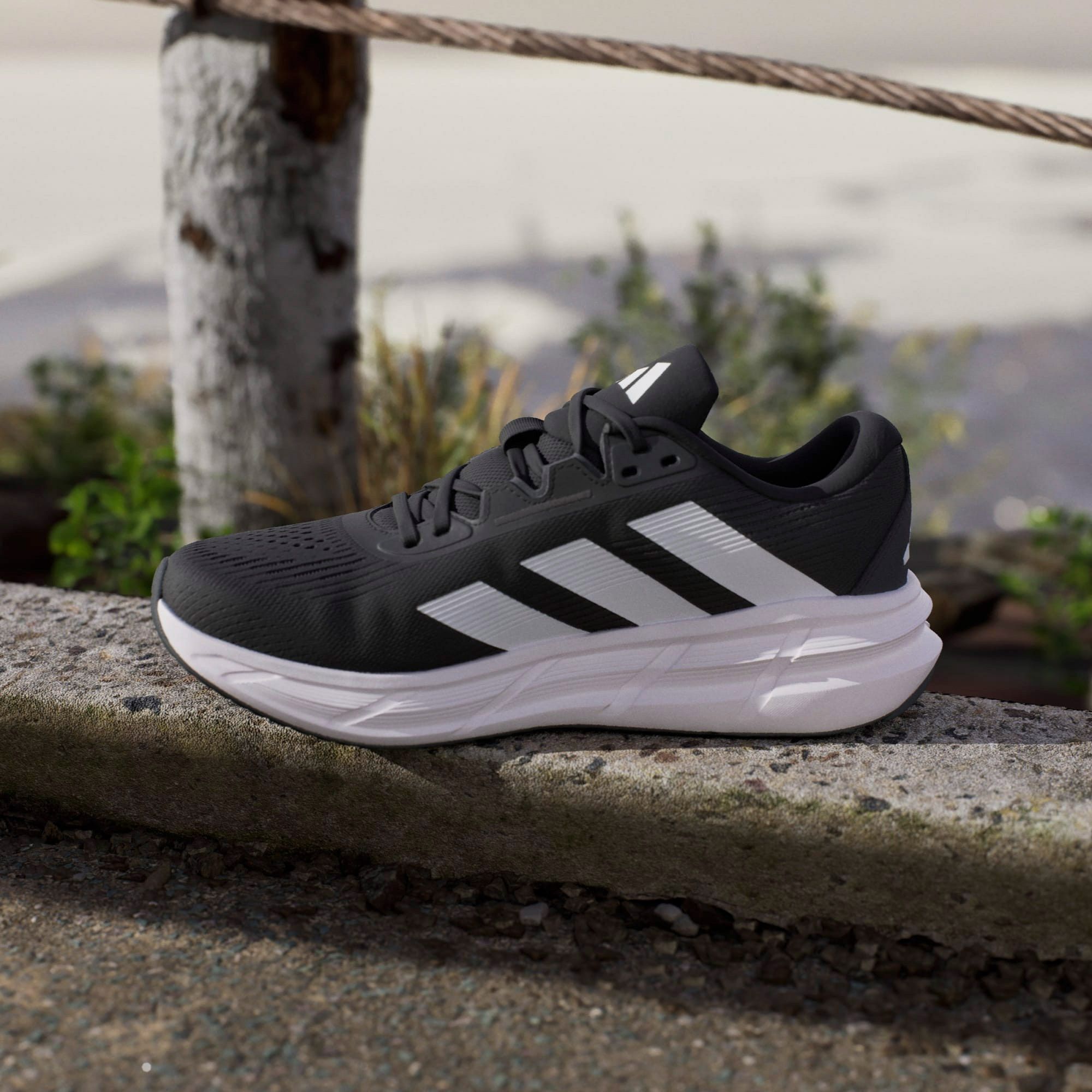 Adidas Questar 3 Hardloopschoenen Heren