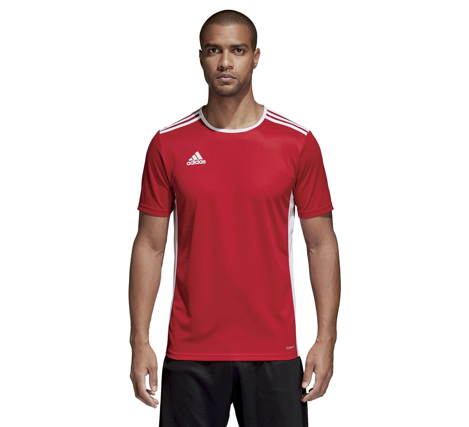 Adidas Entrada 18 SS Jersey Junior