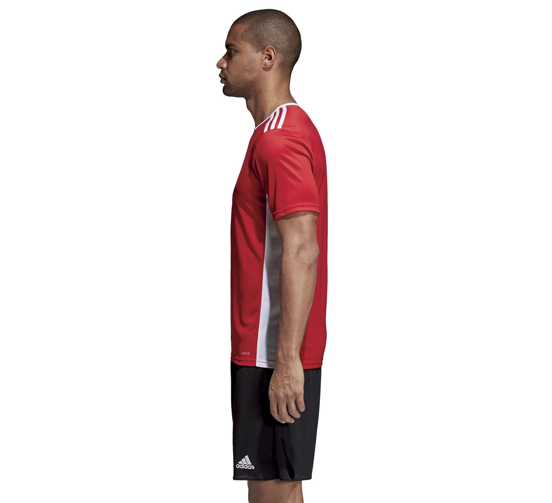 Adidas Entrada 18 SS Jersey Junior
