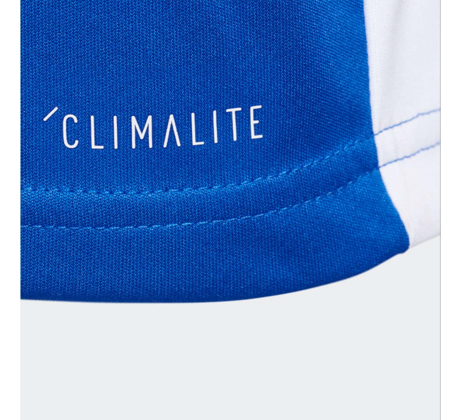 Adidas Entrada 18 SS Shirt Junior