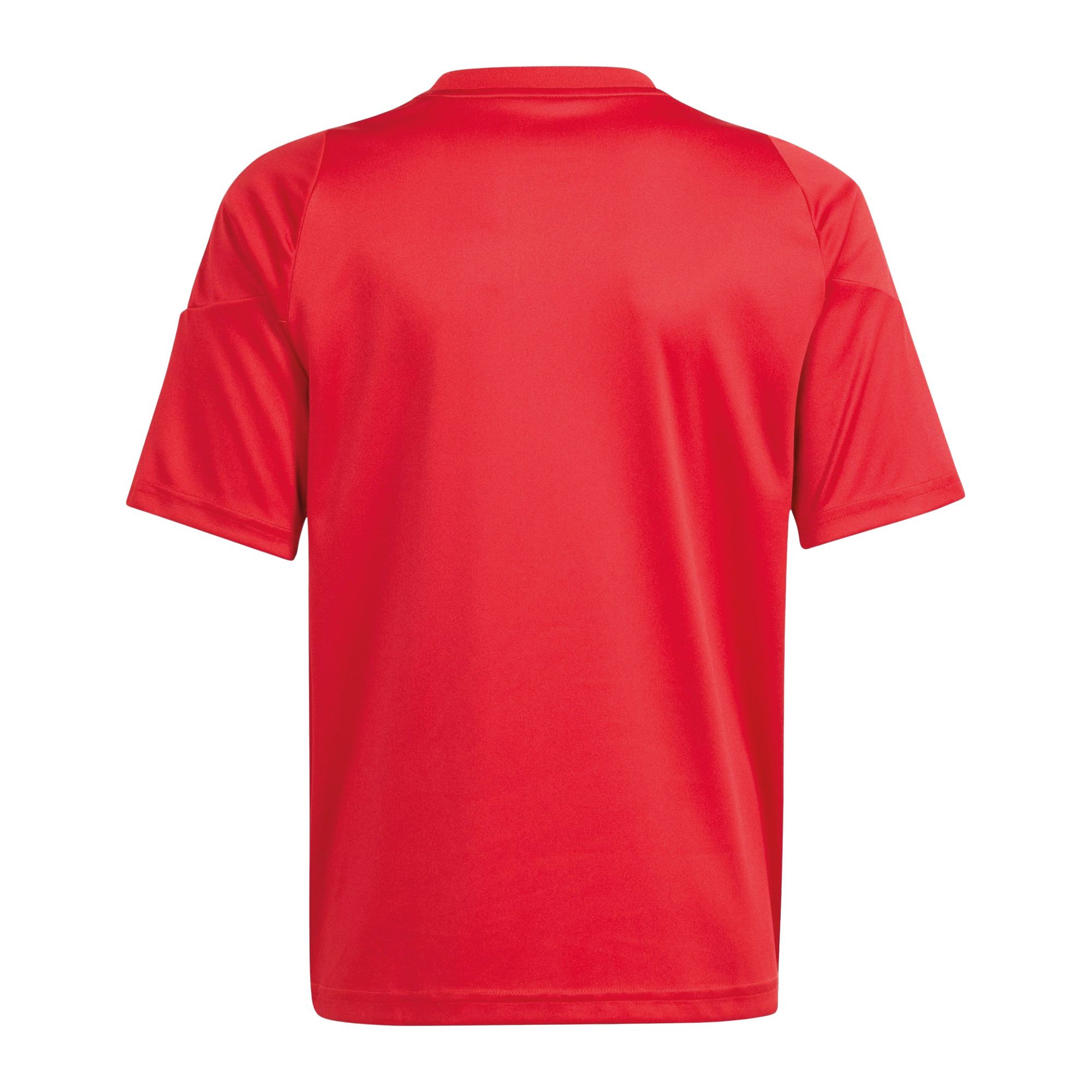 Adidas Tiro 24 Shirt Junior