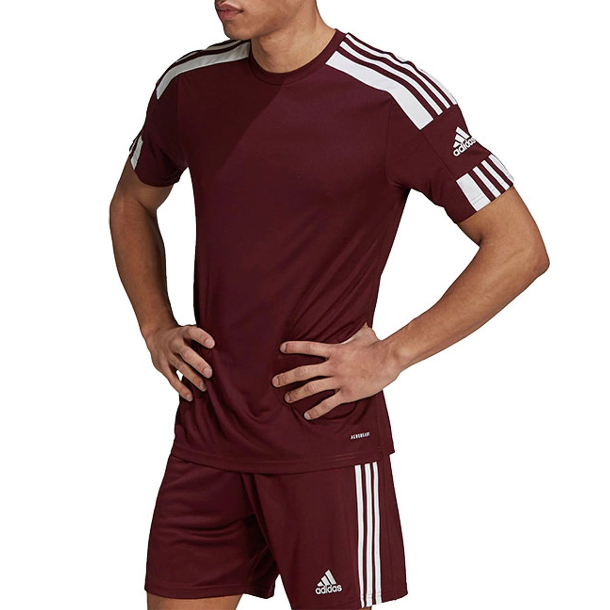 Adidas Squadra 21 Shirt Heren