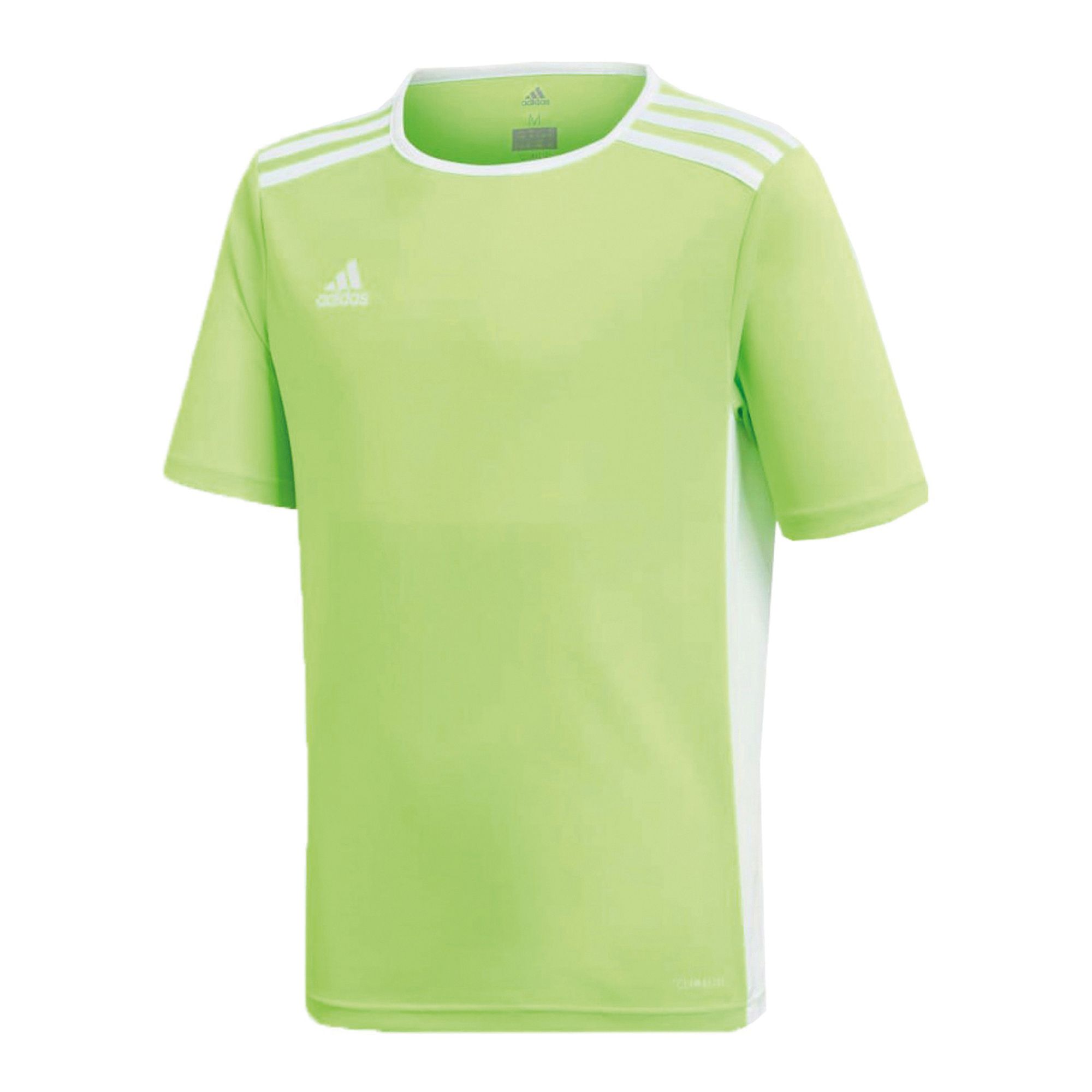 Adidas Entrada 18 Shirt Junior