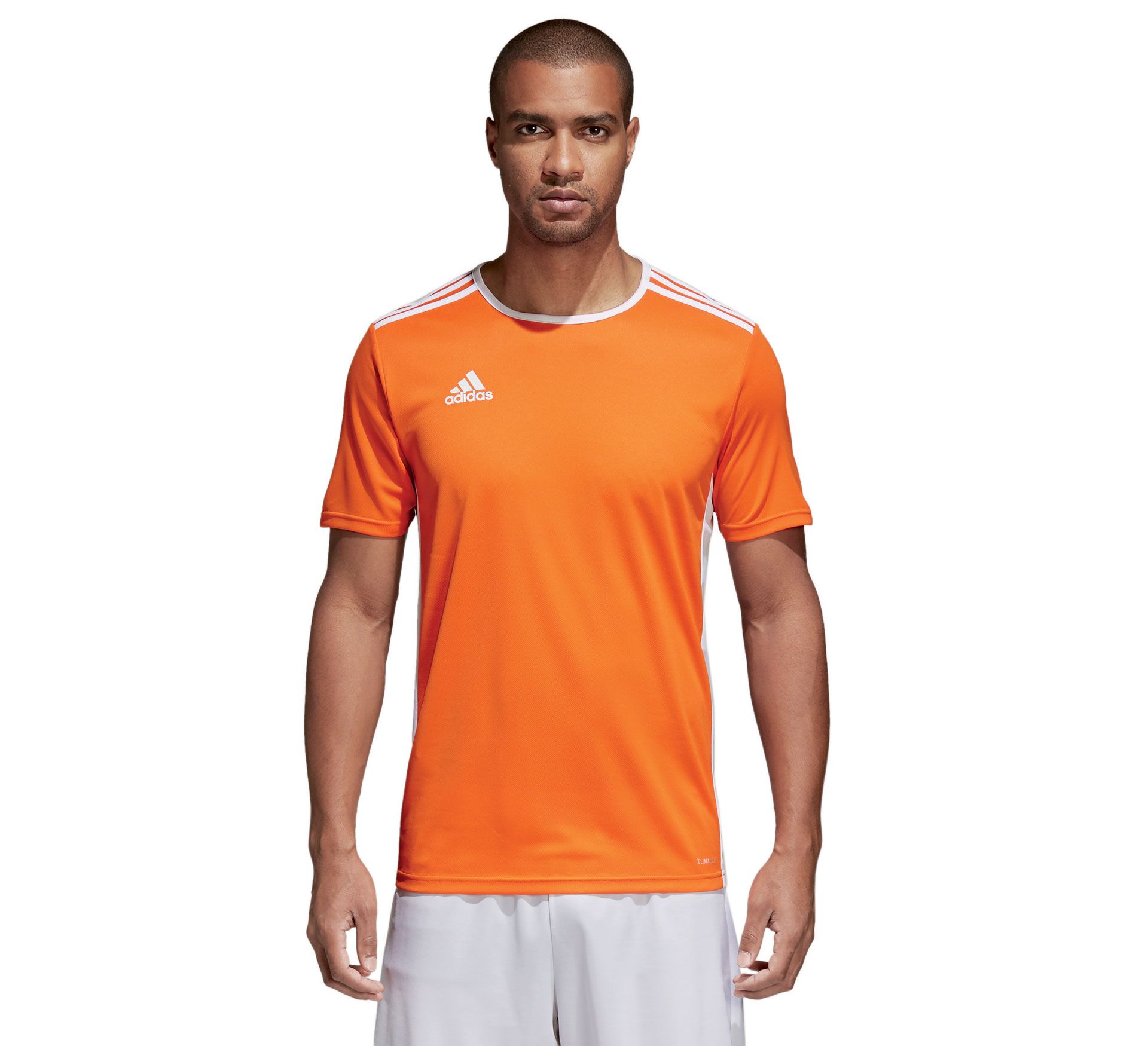 Adidas Entrada 18 Jersey