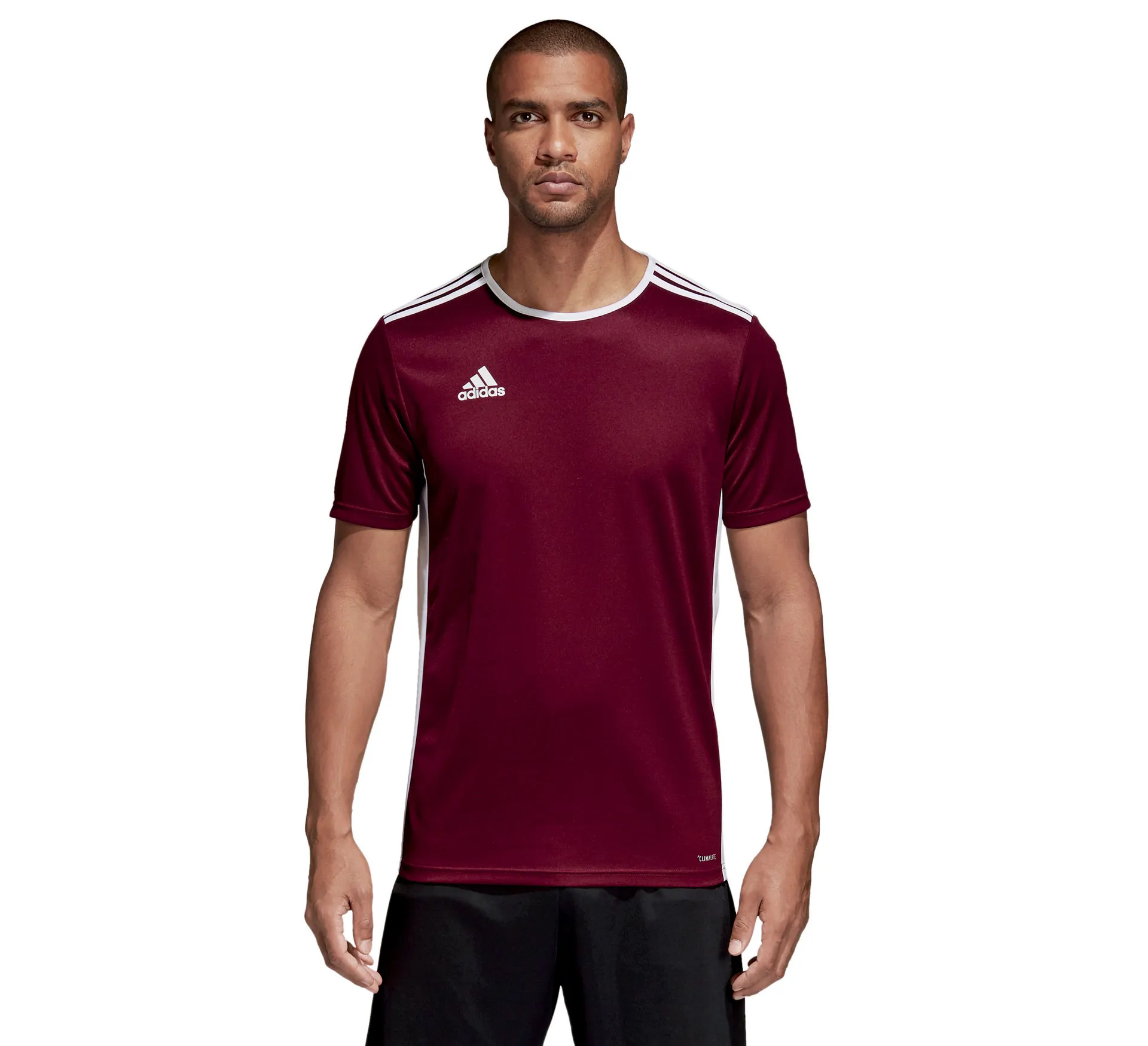 Adidas Entrada 18 Jersey