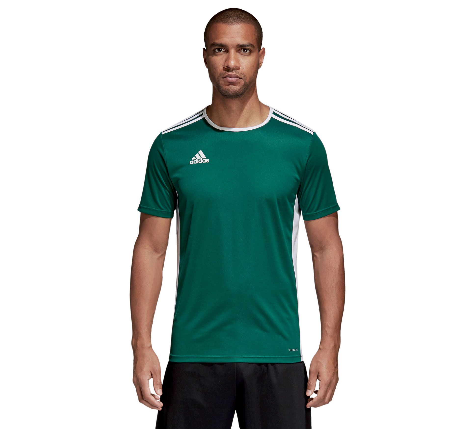 Adidas Entrada 18 Jersey