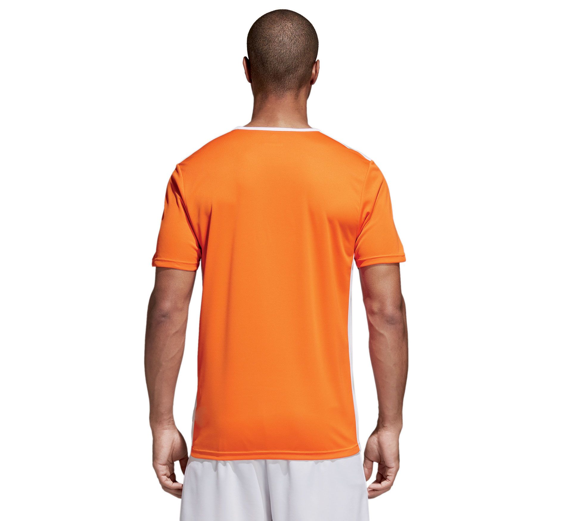 Adidas Entrada 18 Jersey