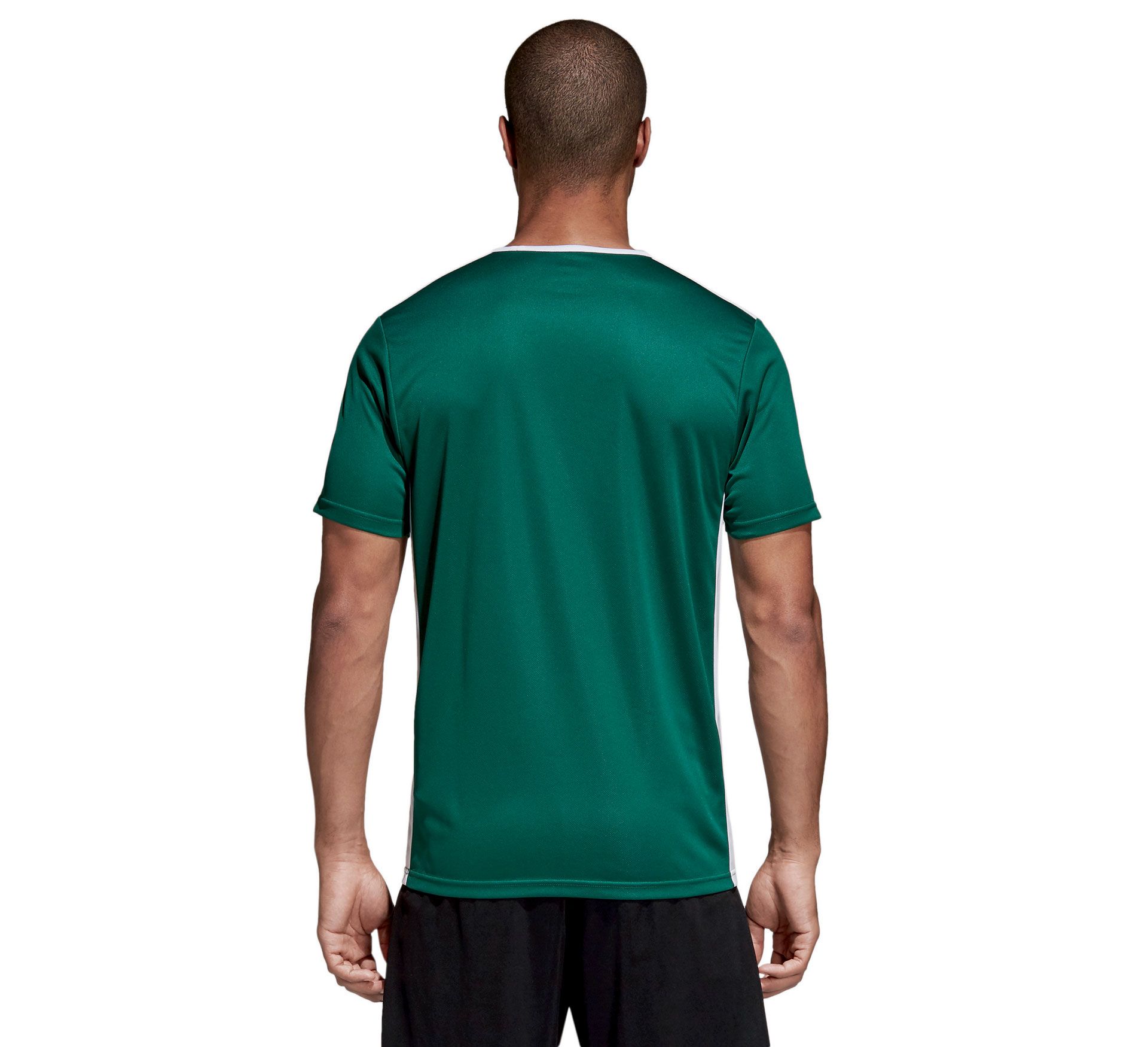 Adidas Entrada 18 Jersey