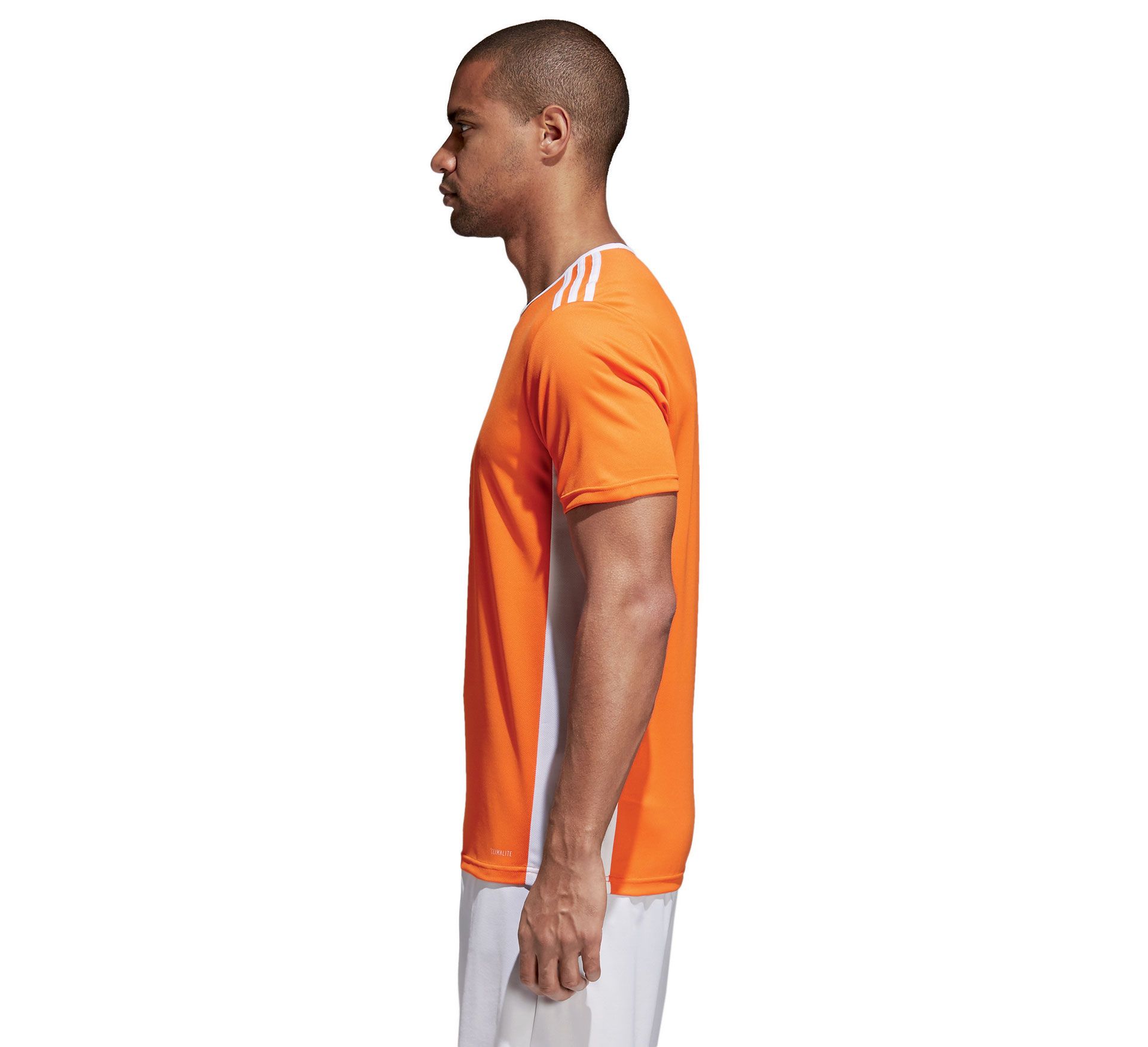 Adidas Entrada 18 Jersey