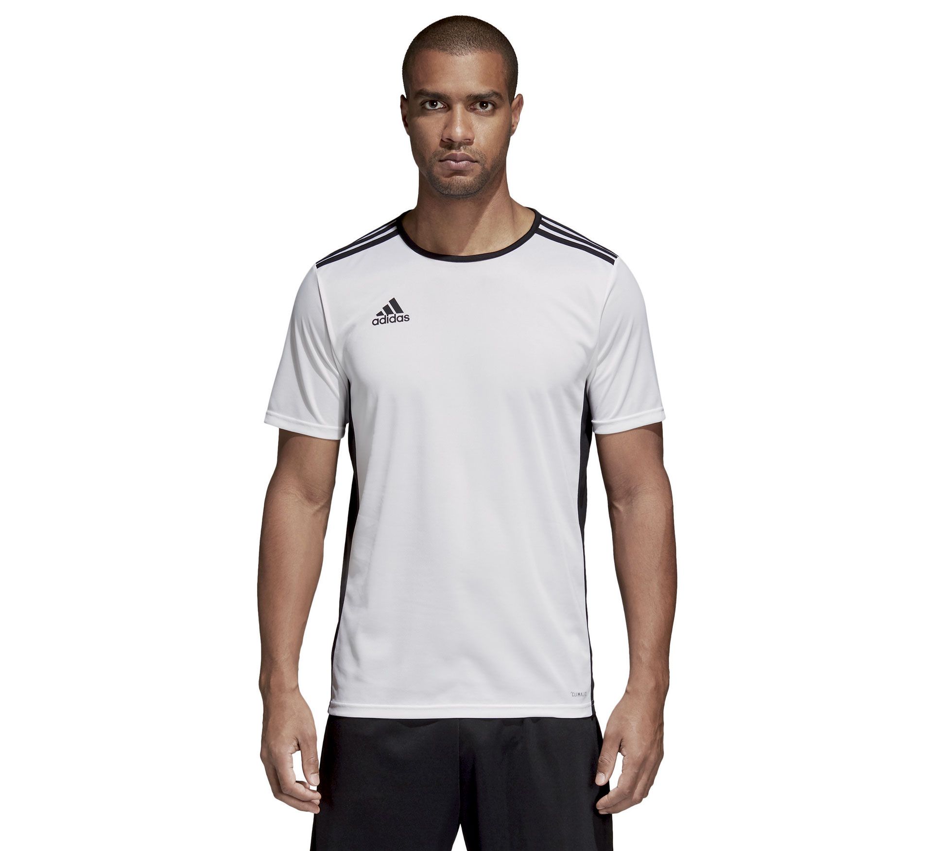 Adidas Entrada 18 SS Jersey