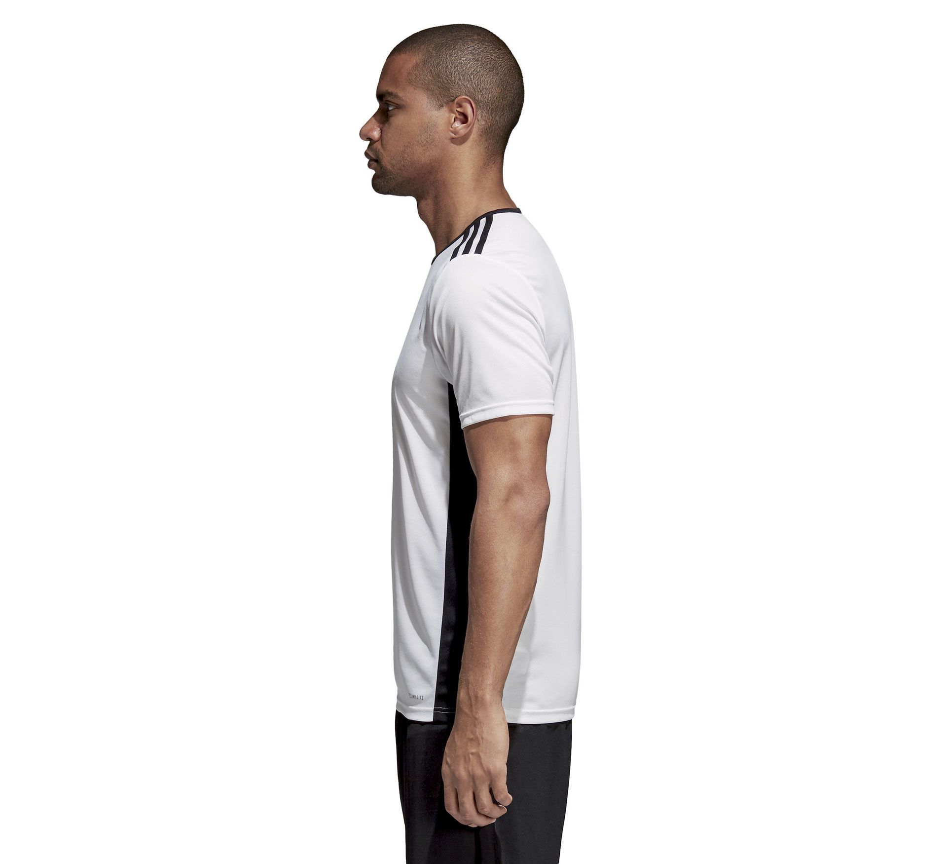 Adidas Entrada 18 SS Jersey