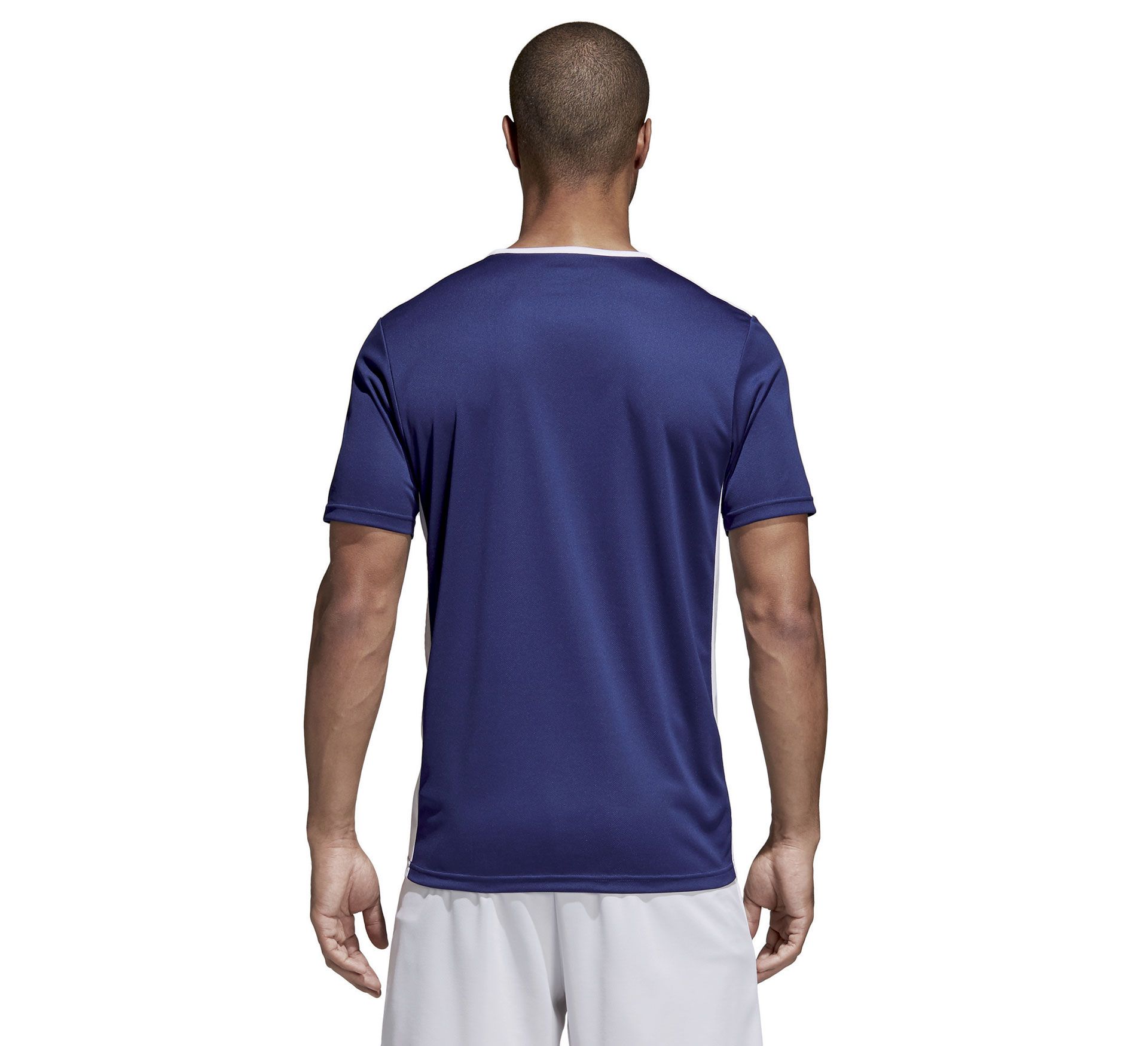 Adidas Entrada 18 SS Jersey