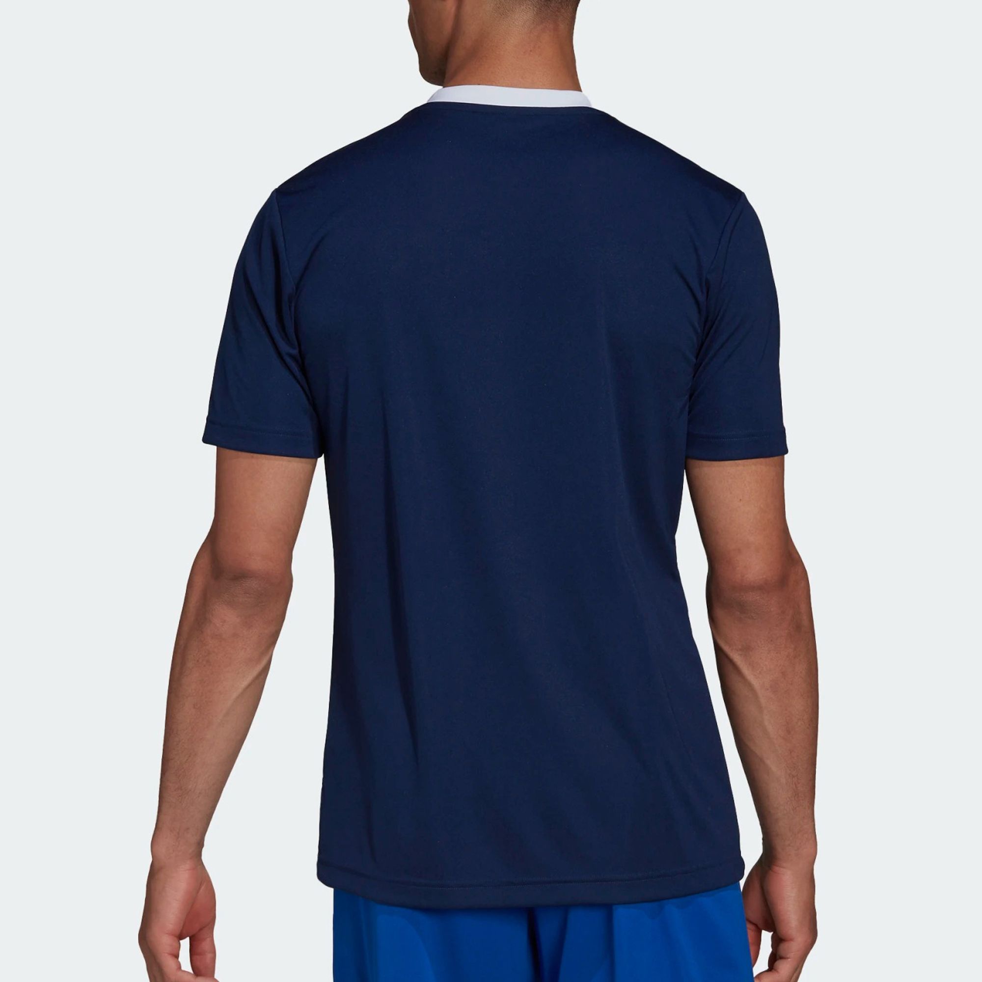 Adidas Entrada 22 SS Shirt Heren