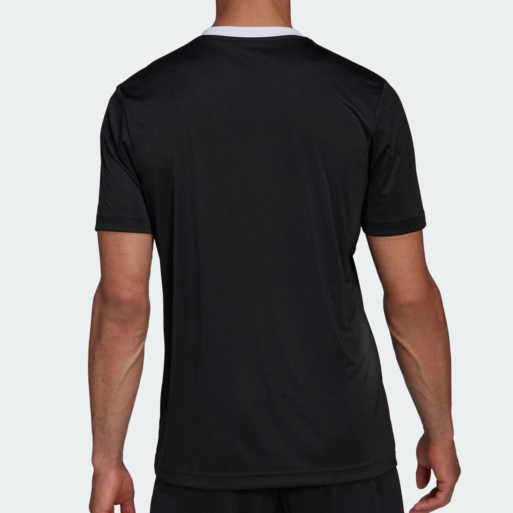 Adidas Entrada 22 SS Shirt Men