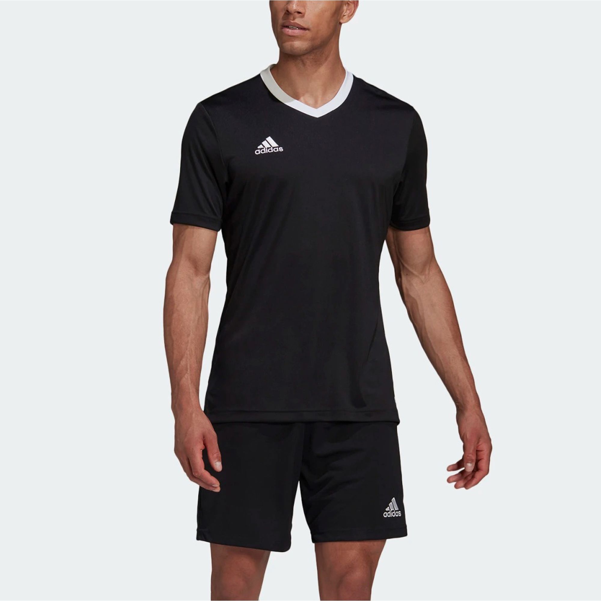 Adidas Entrada 22 SS Shirt Men