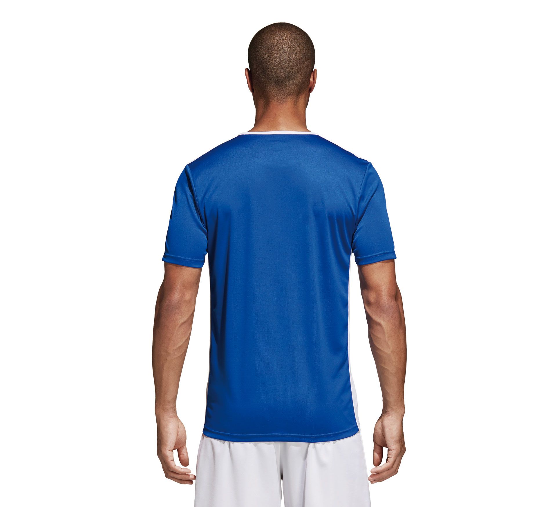 Adidas Entrada 18 Jersey