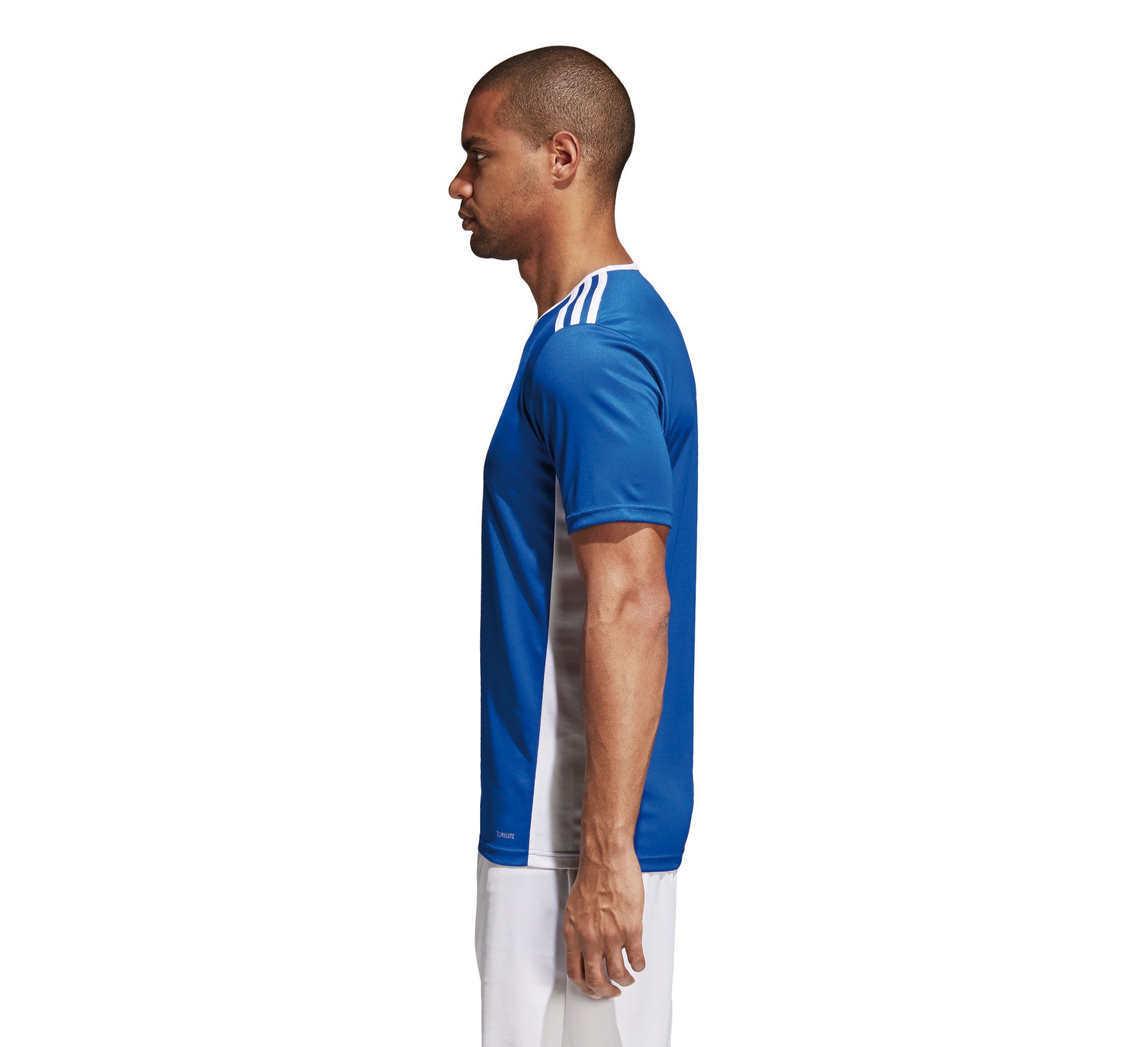 Adidas Entrada 18 Jersey