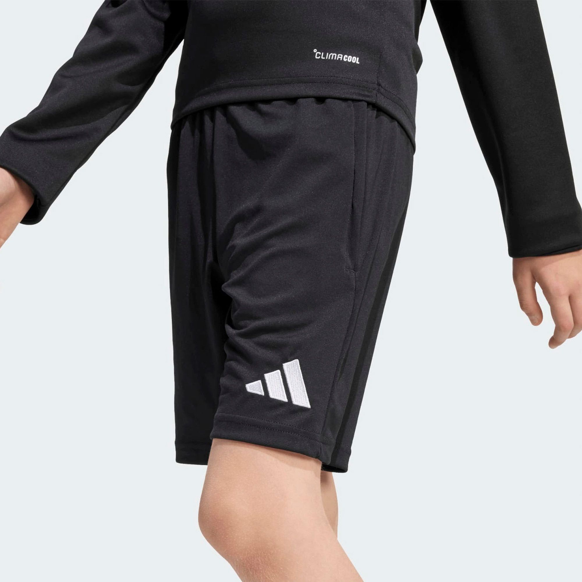 Adidas Entrada 26 Training Short Junior