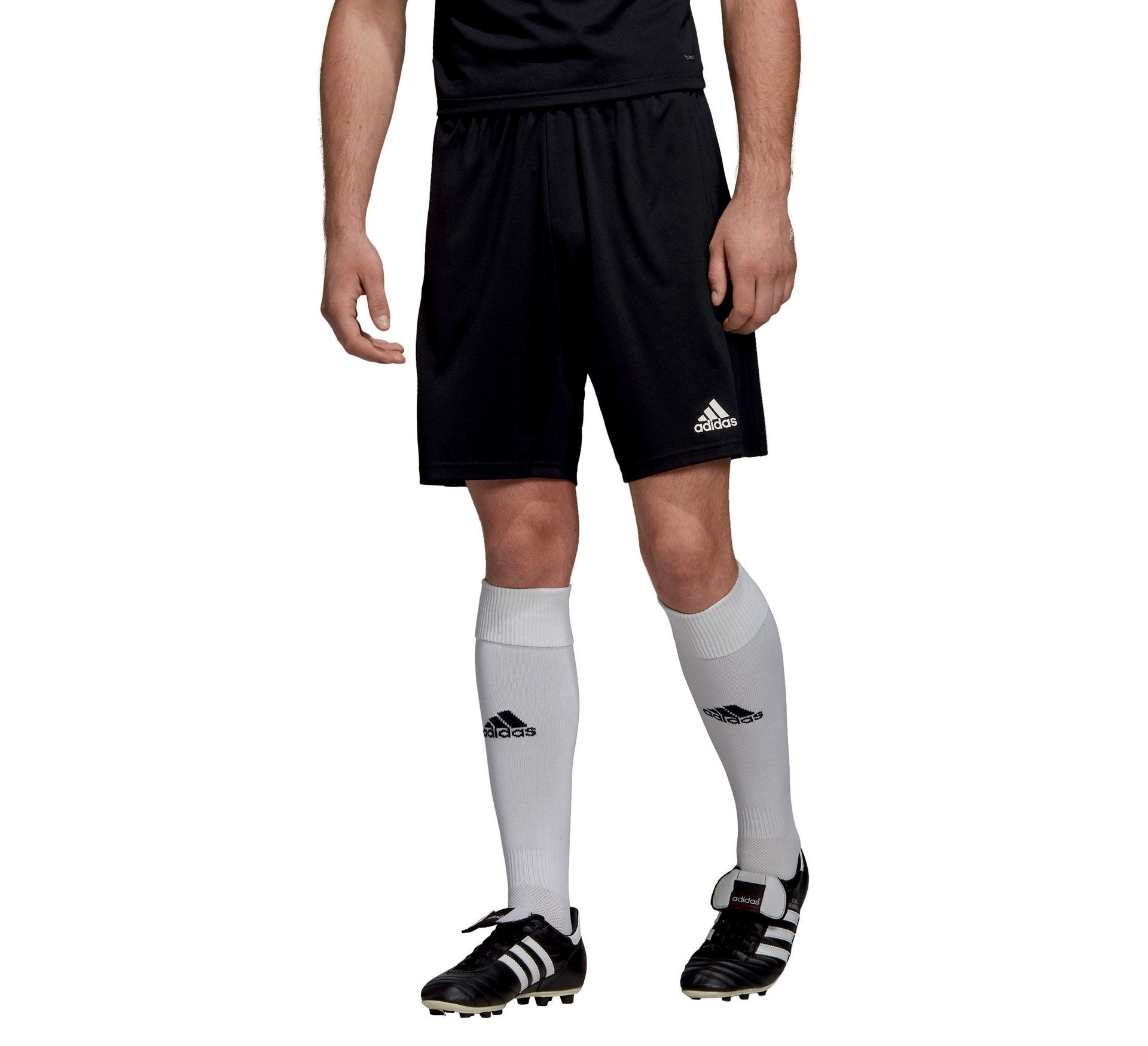 Adidas T19 Shorts