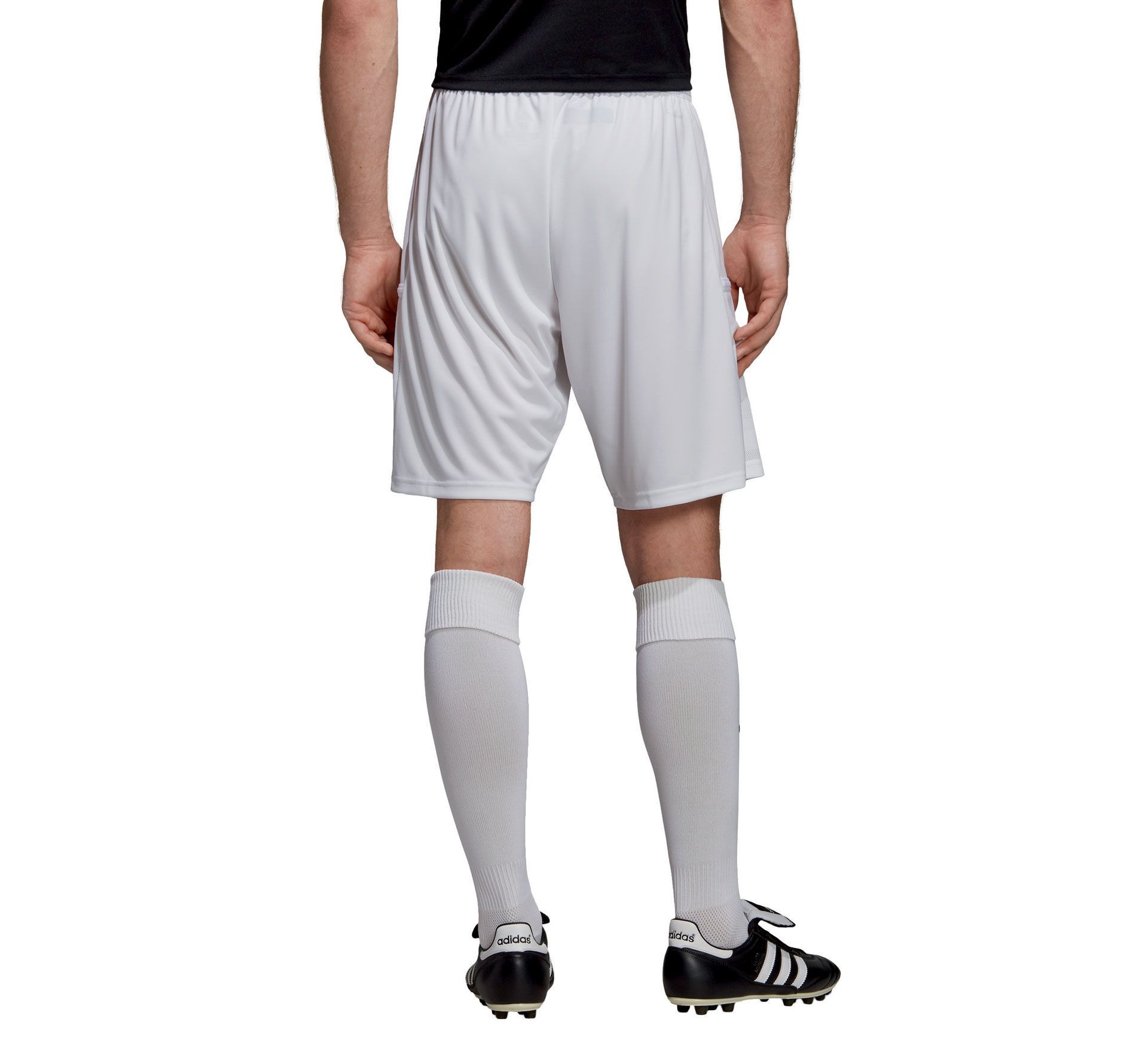 Adidas T19 Shorts