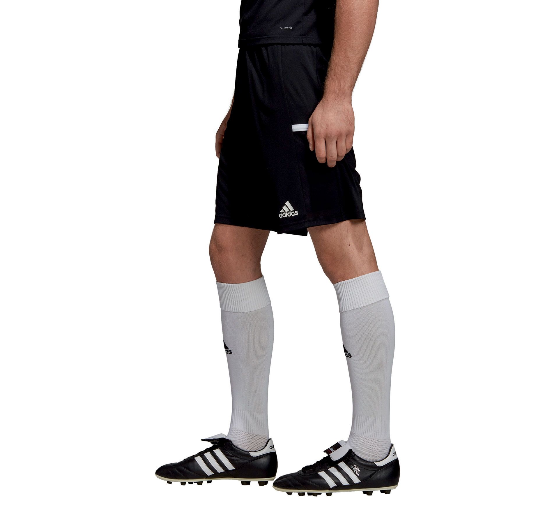 Adidas T19 Shorts