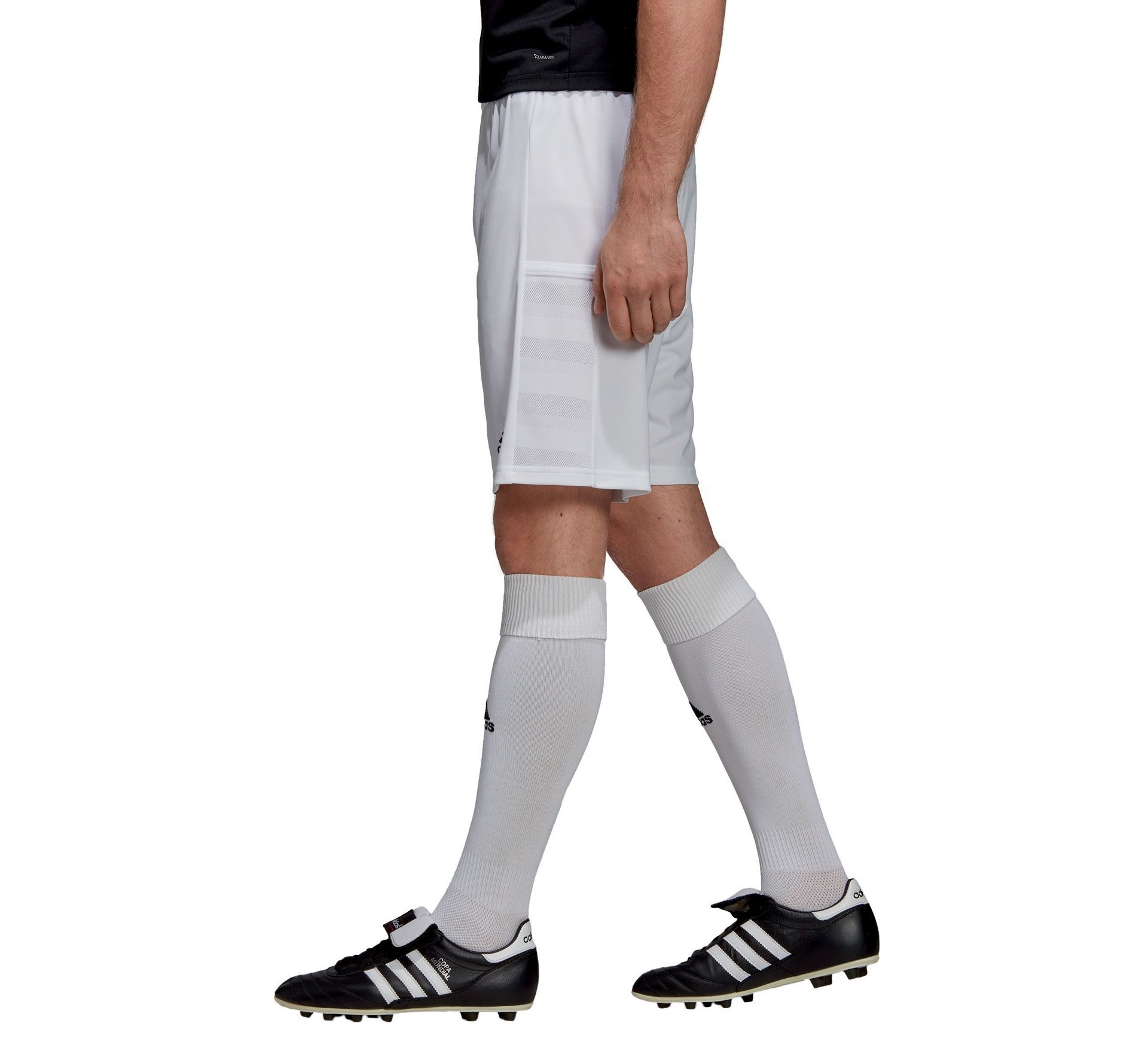 Adidas T19 Shorts