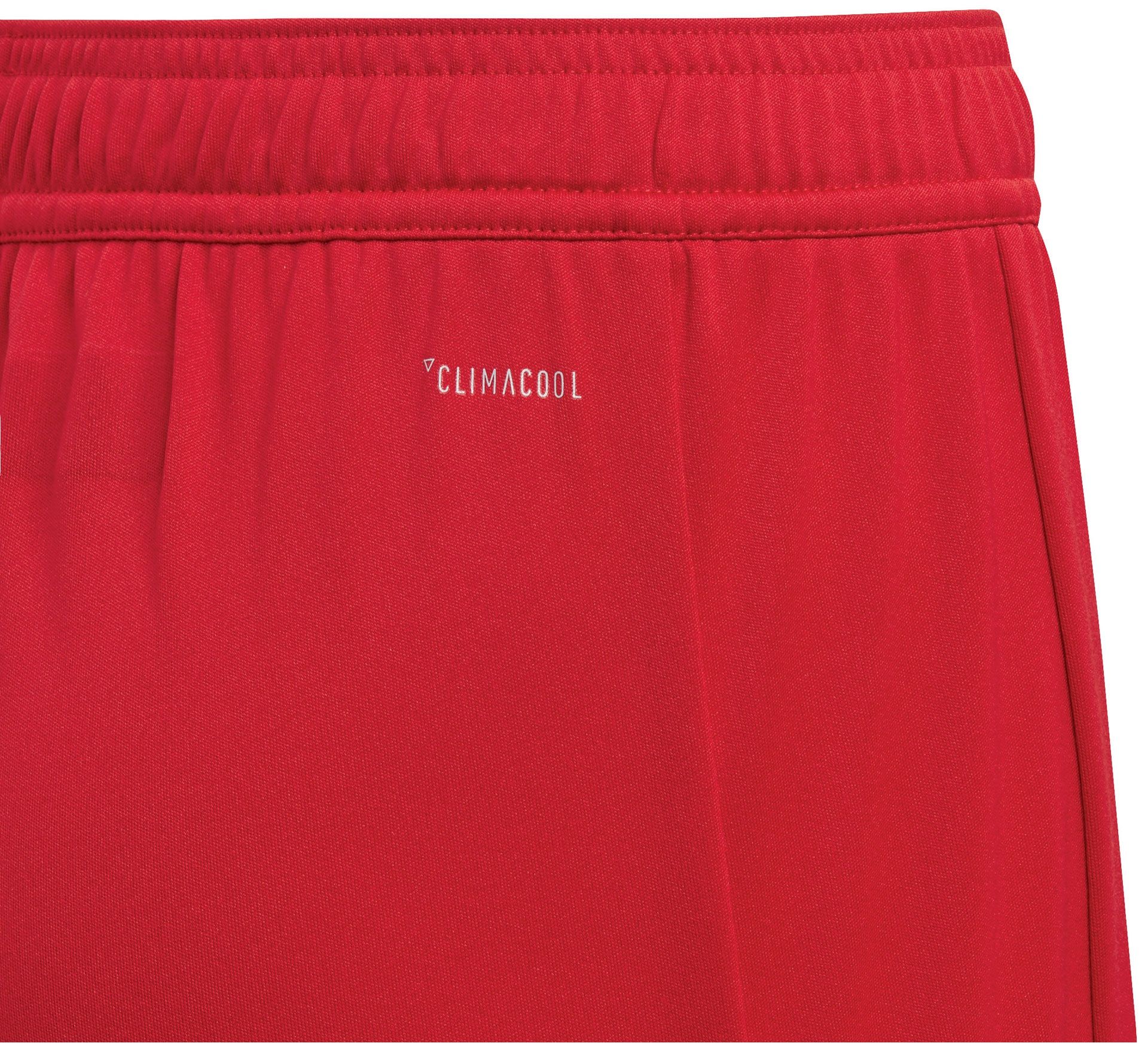 Adidas T19 Shorts Junior