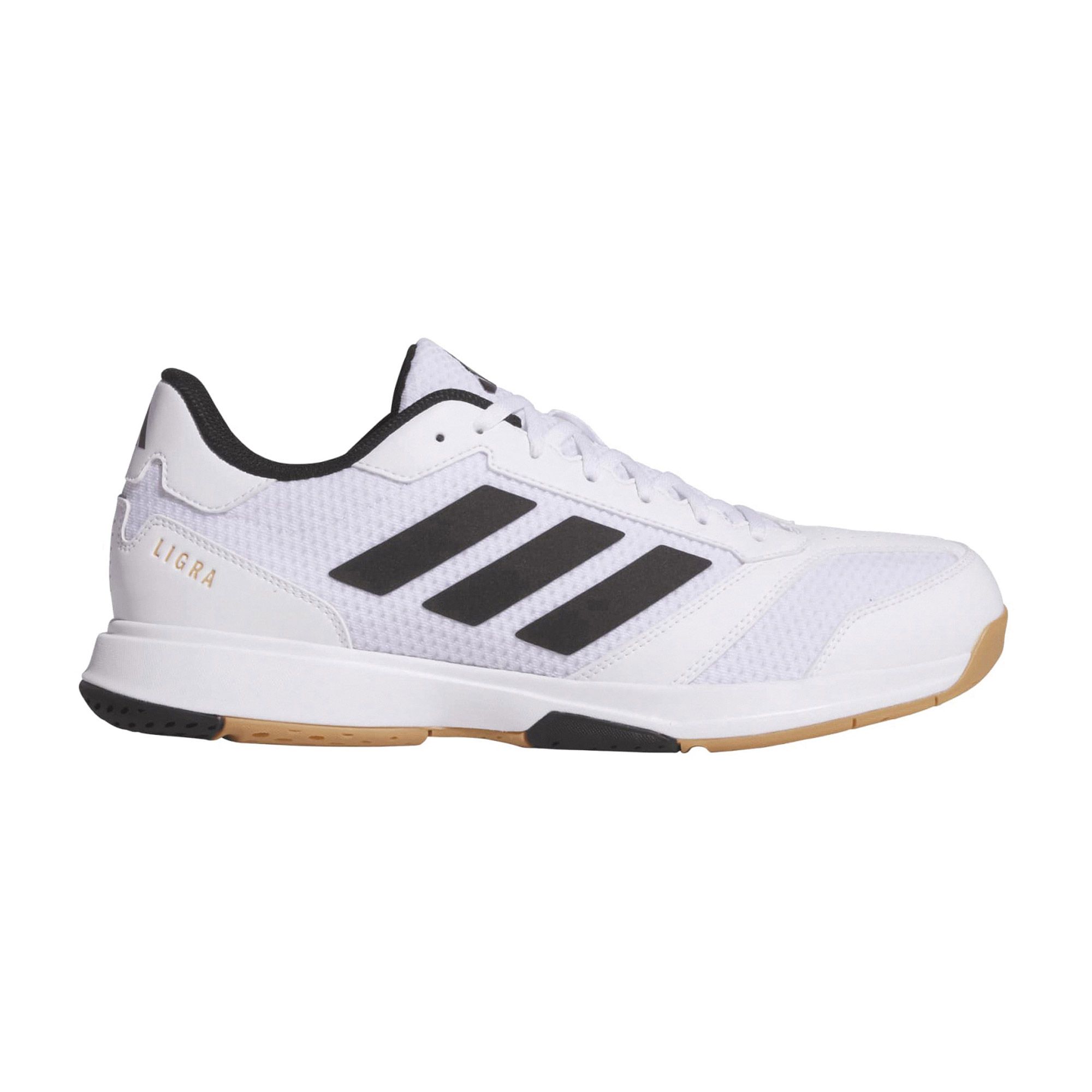 Chaussures en salle Adidas Ligra 8 Hommes
