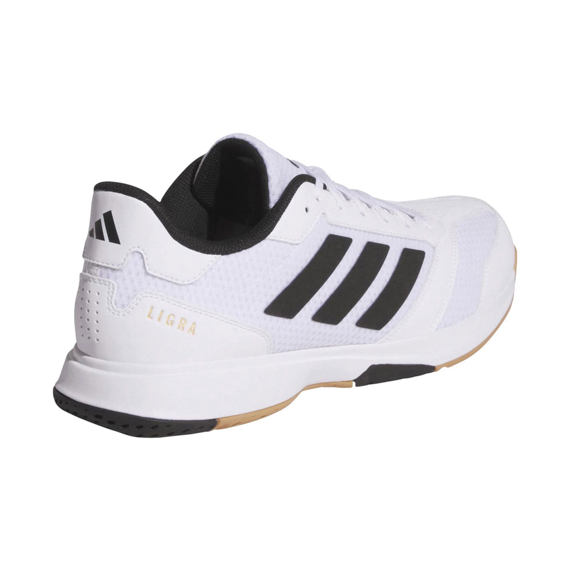Chaussures en salle Adidas Ligra 8 Hommes