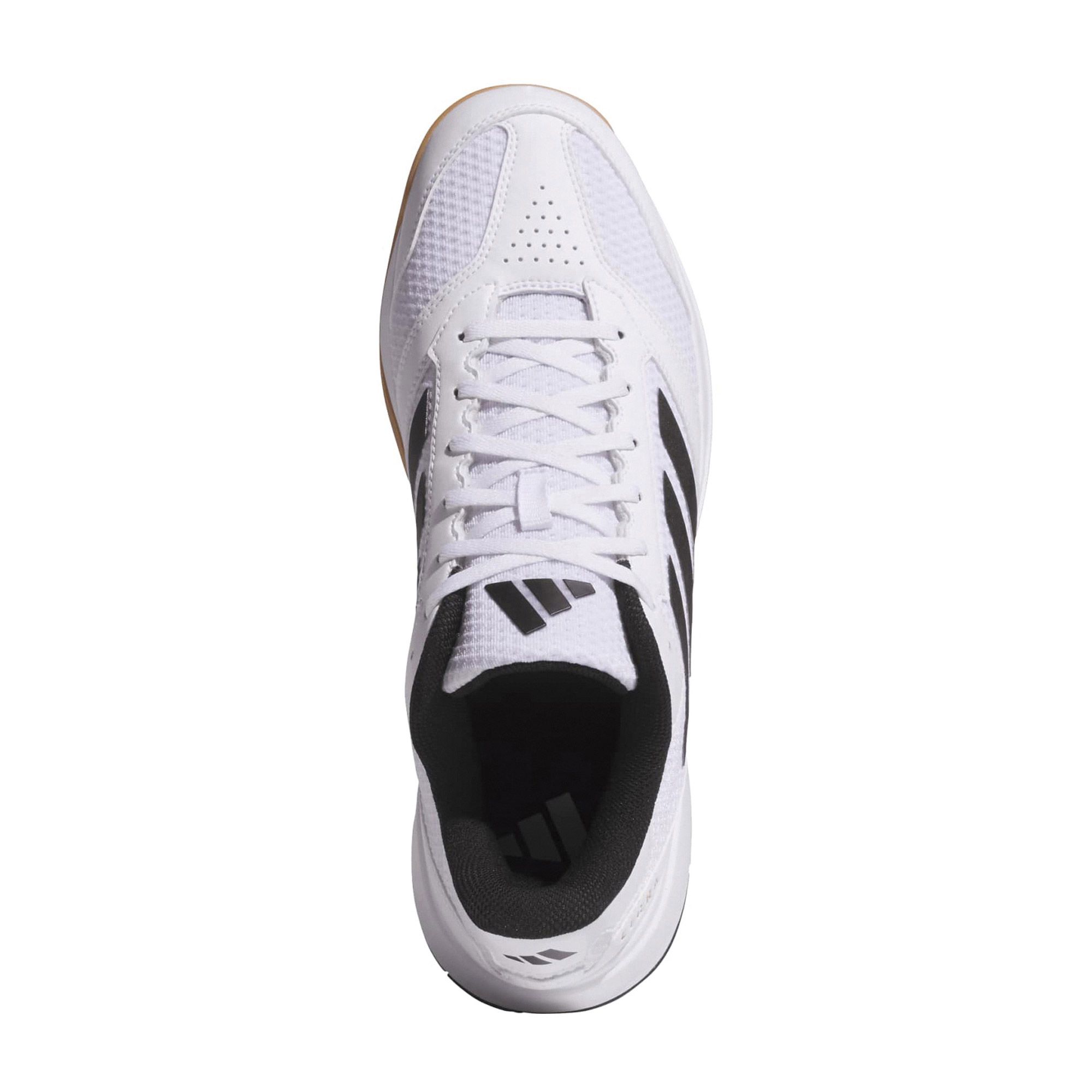 Chaussures en salle Adidas Ligra 8 Hommes