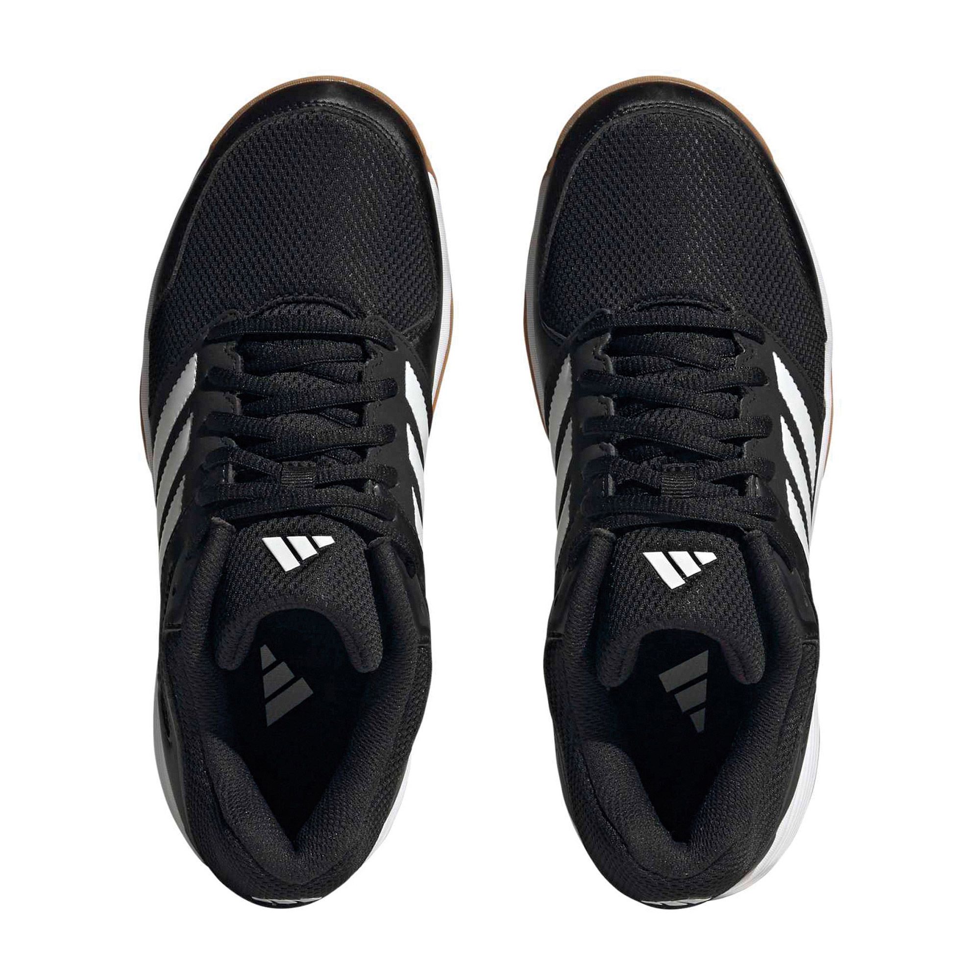 Chaussures en salle Adidas Speedcourt Femmes