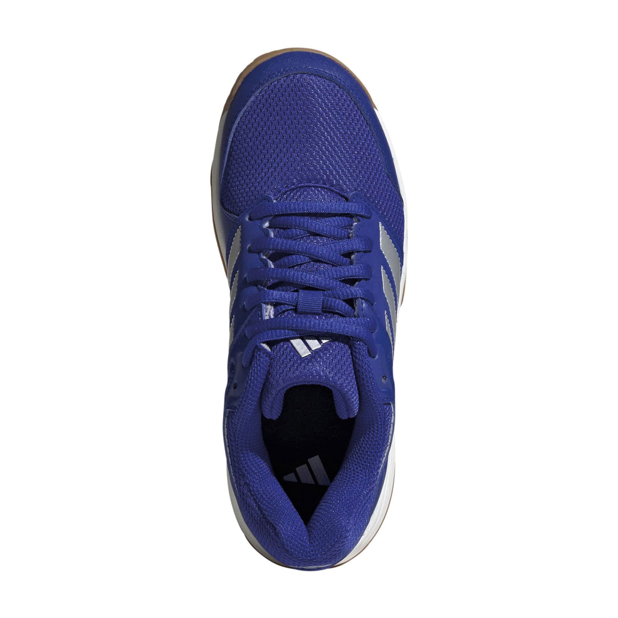 Chaussures de salle  Adidas Speedcourt