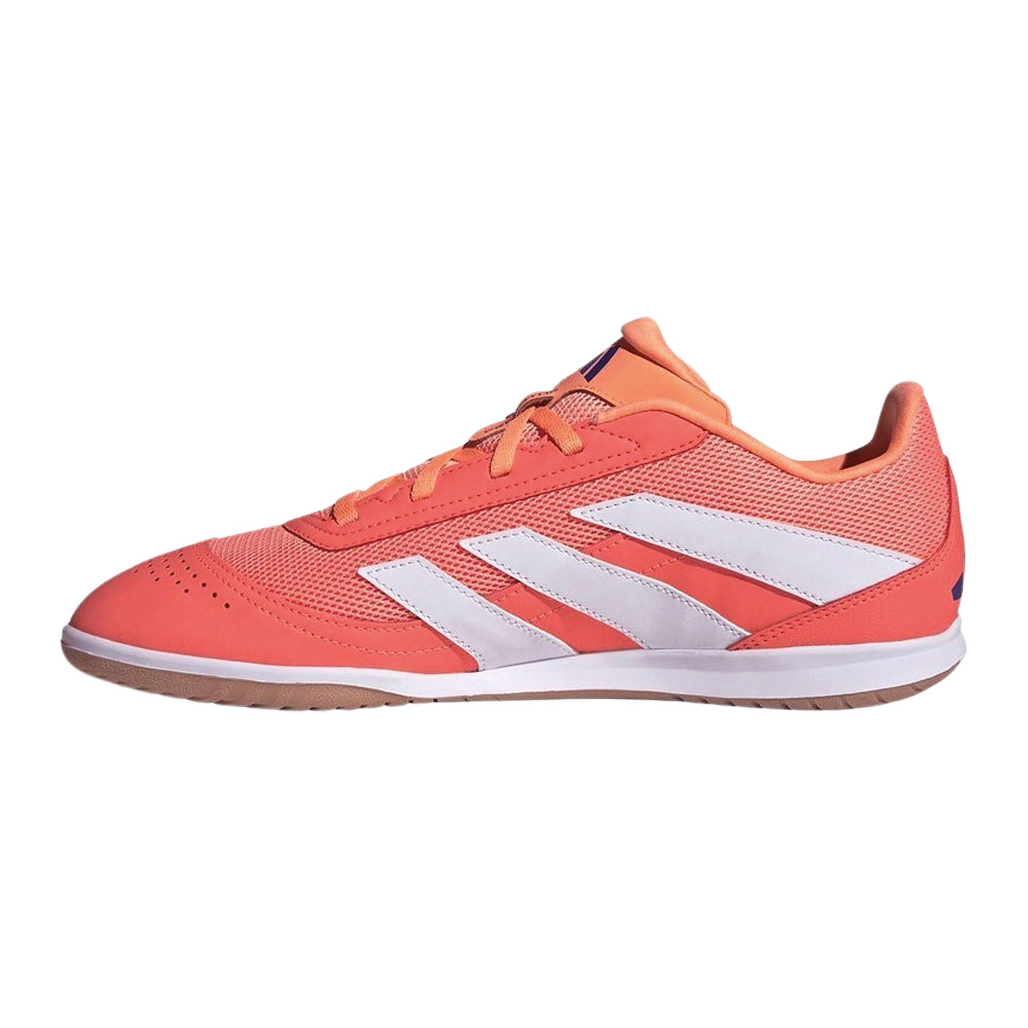 Chaussures de football en salle Adidas Predator Club Hommes