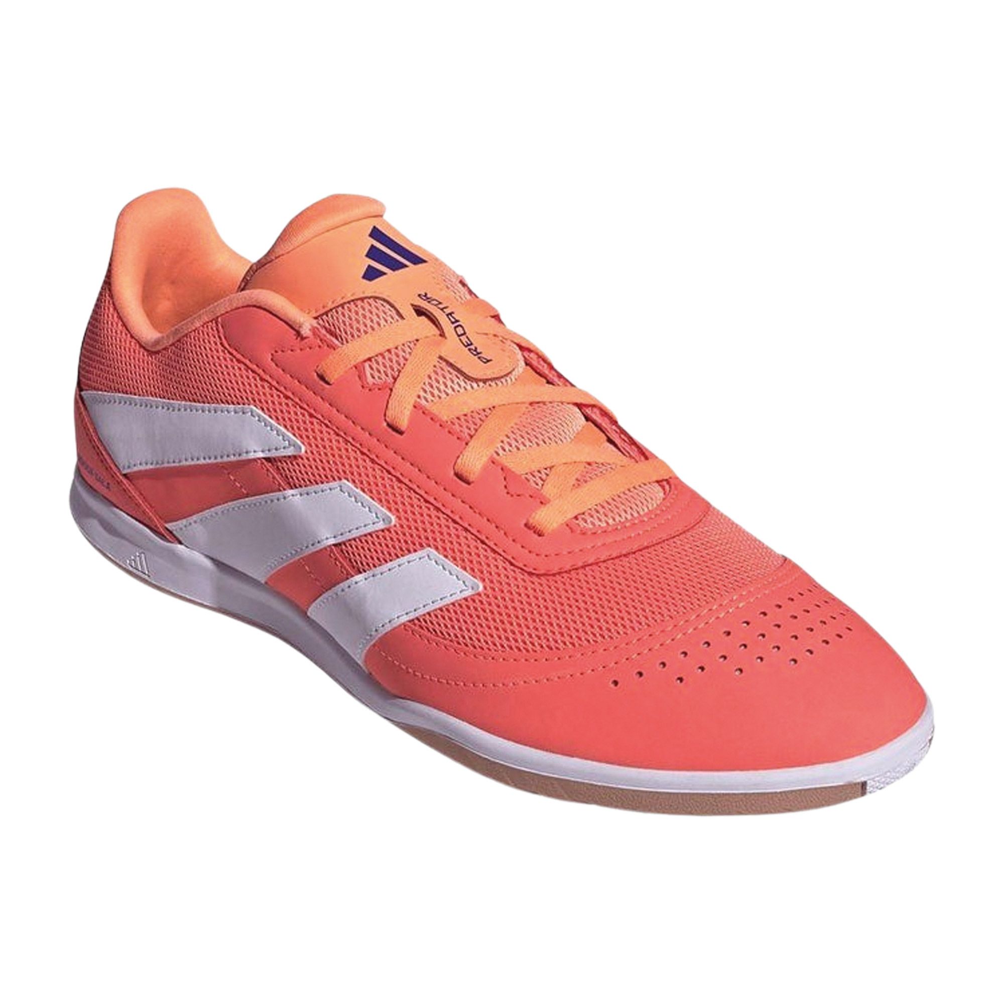 Chaussures de football en salle Adidas Predator Club Hommes