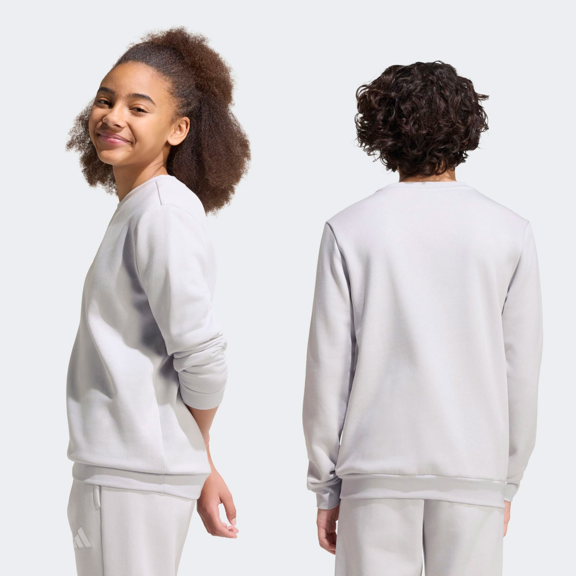 Adidas Entrada 26 Sweater Junior