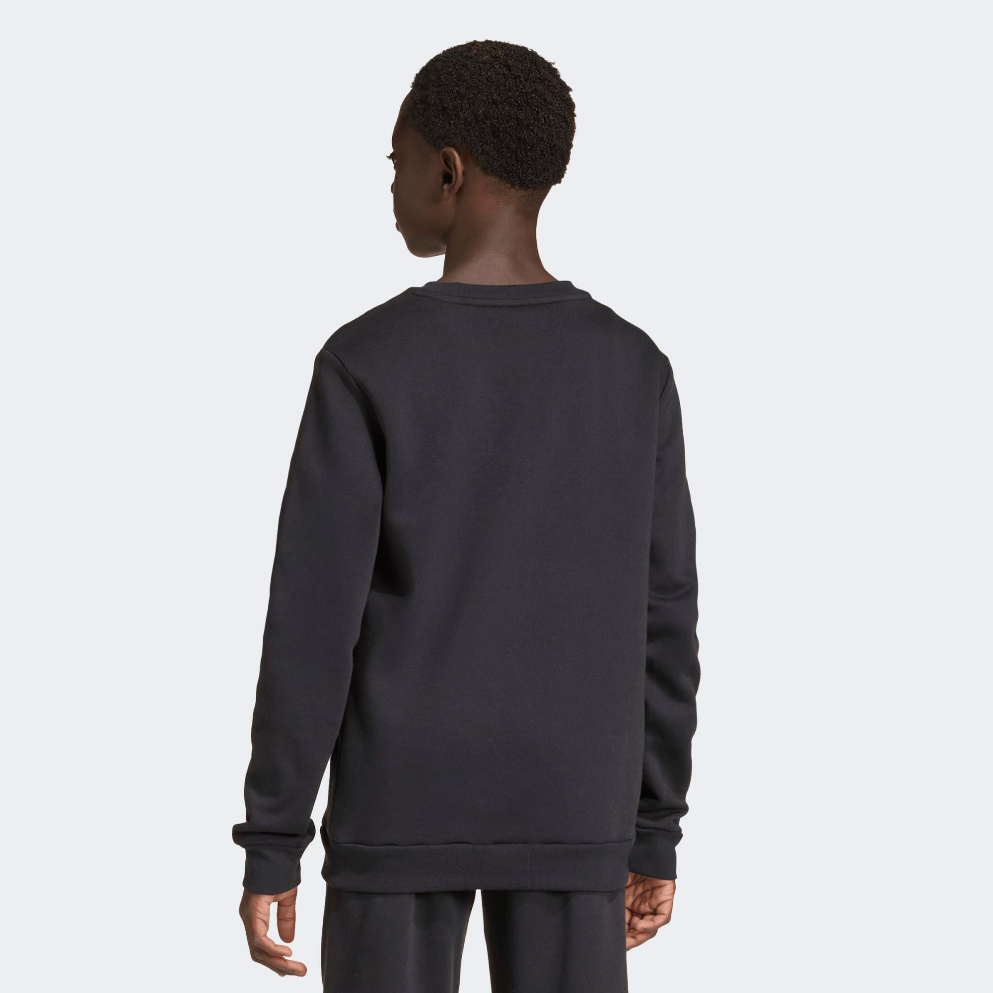 Adidas Entrada 26 Sweater Junior