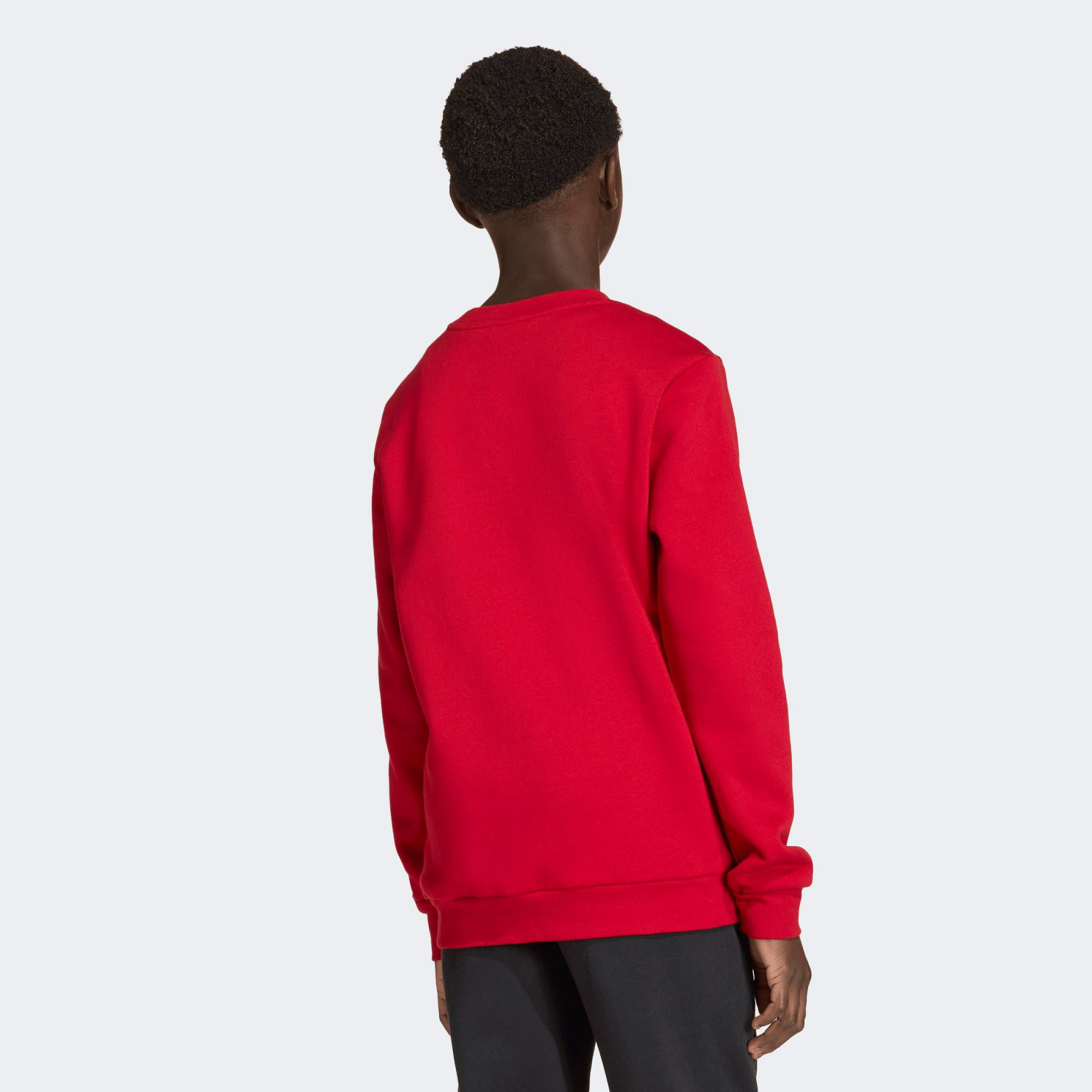 Adidas Entrada 26 Sweater Junior