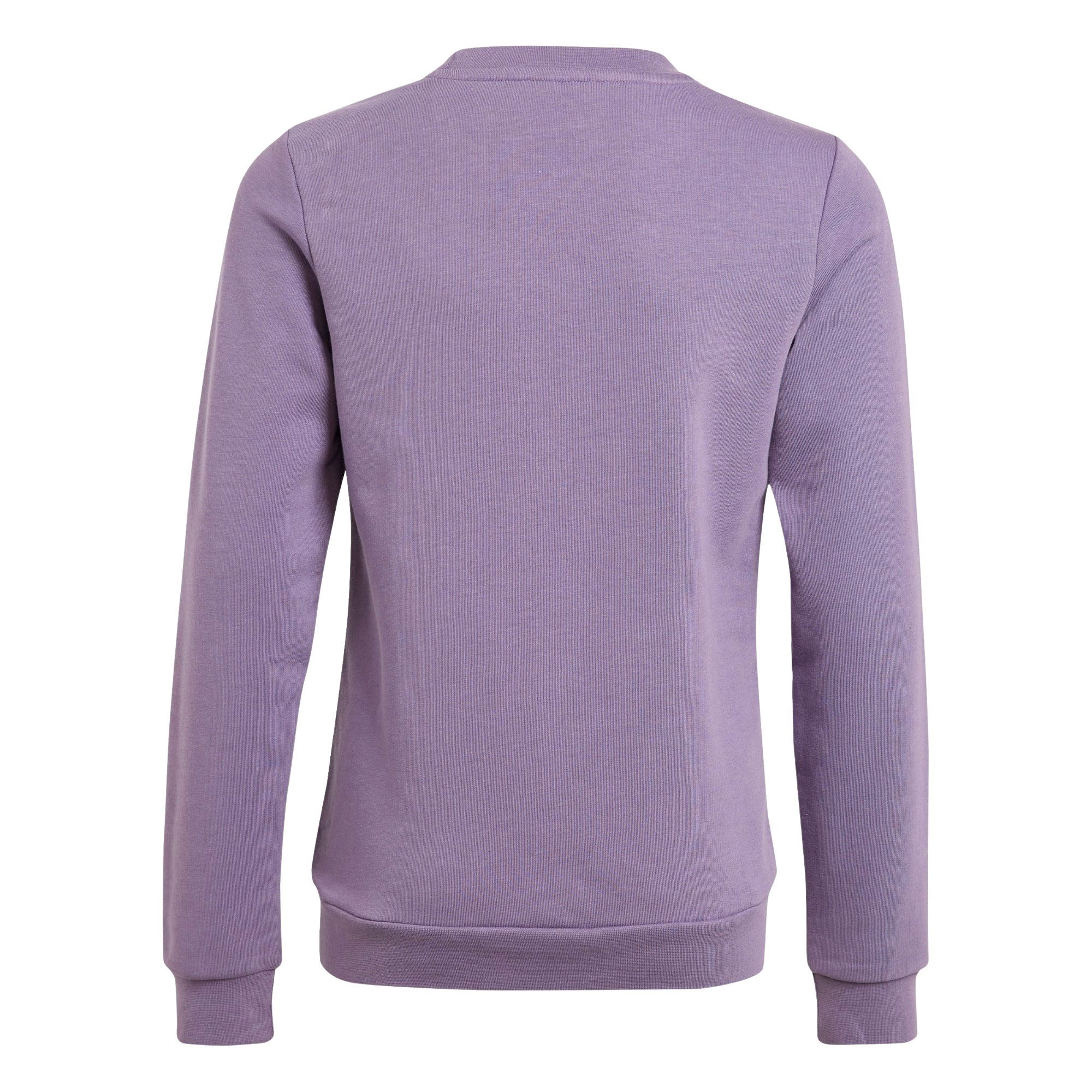 Adidas Essentials Big Logo Sweater Junior