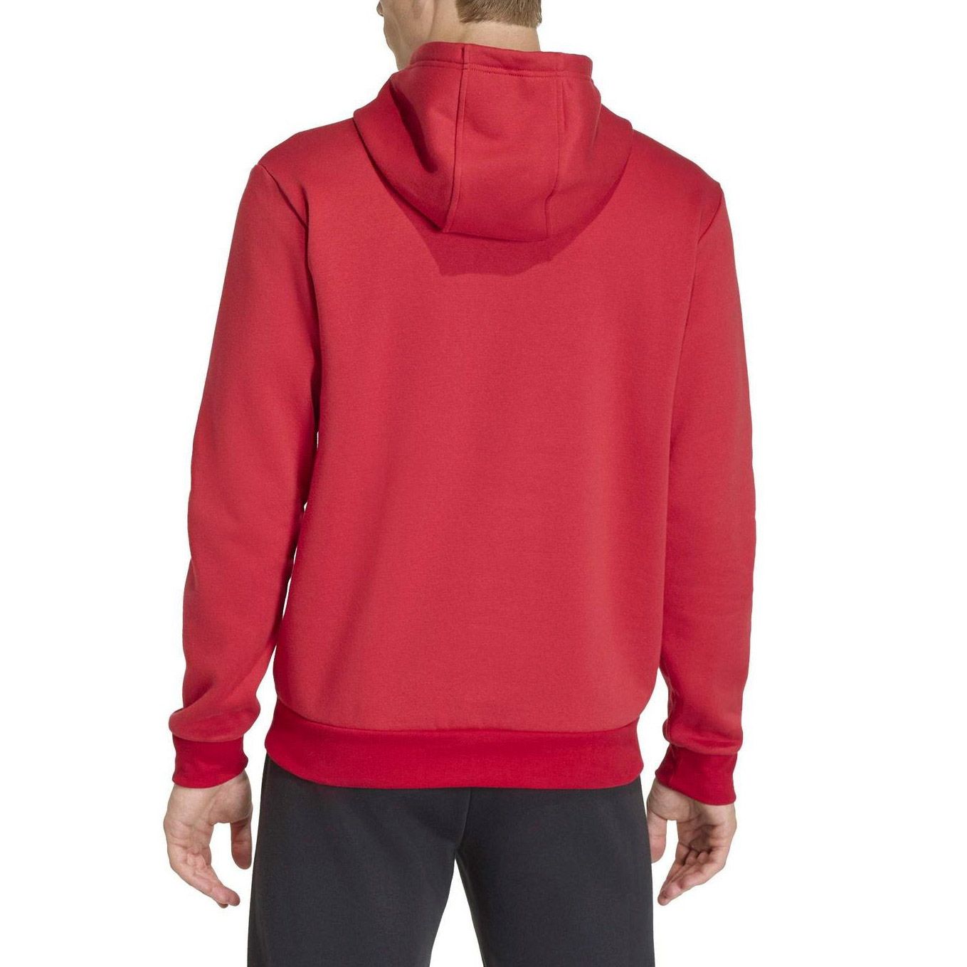 Adidas Entrada 26 Hoodie Heren