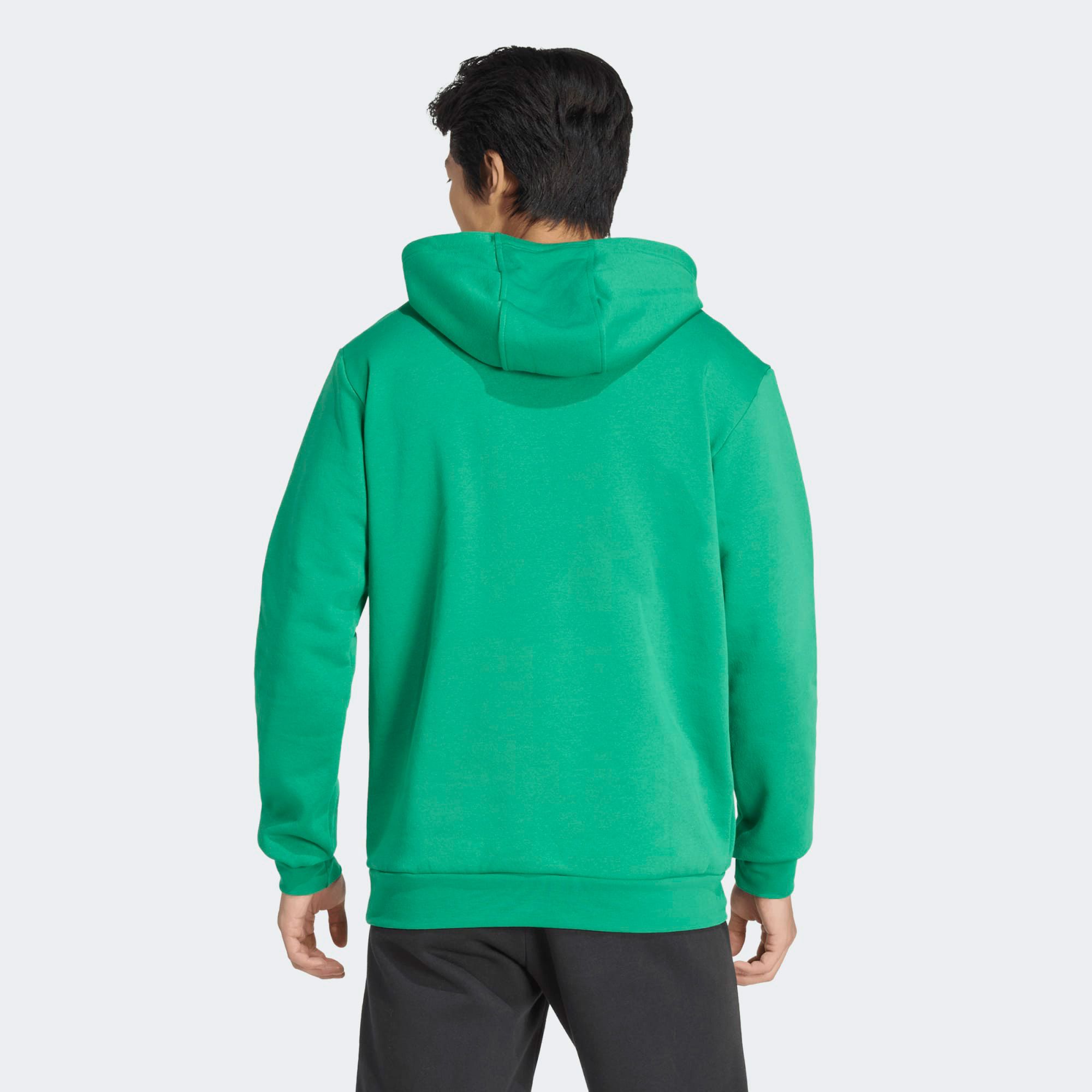 Adidas Entrada 26 Hoodie Heren