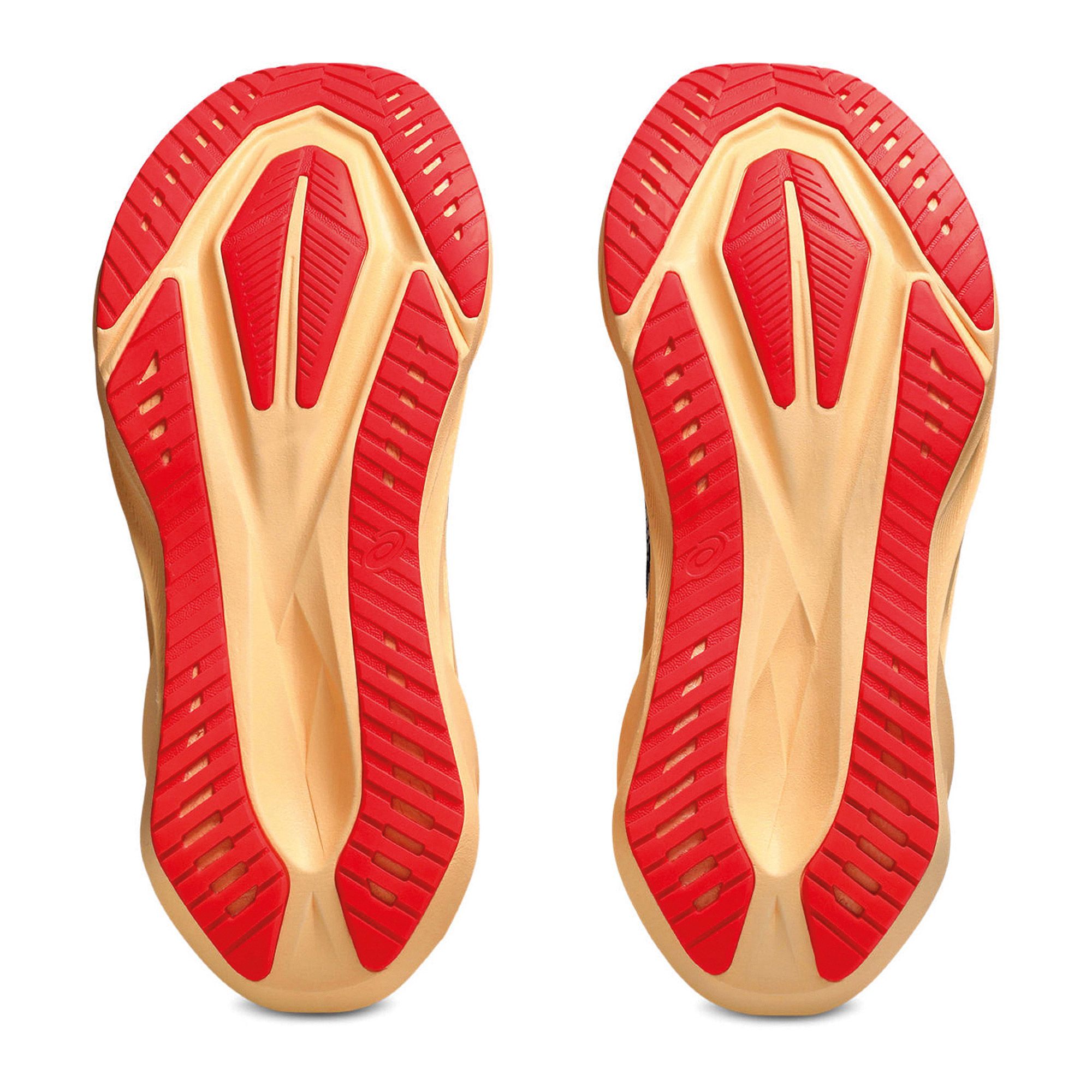 Asics Novablast 5 Hardloopschoenen Heren