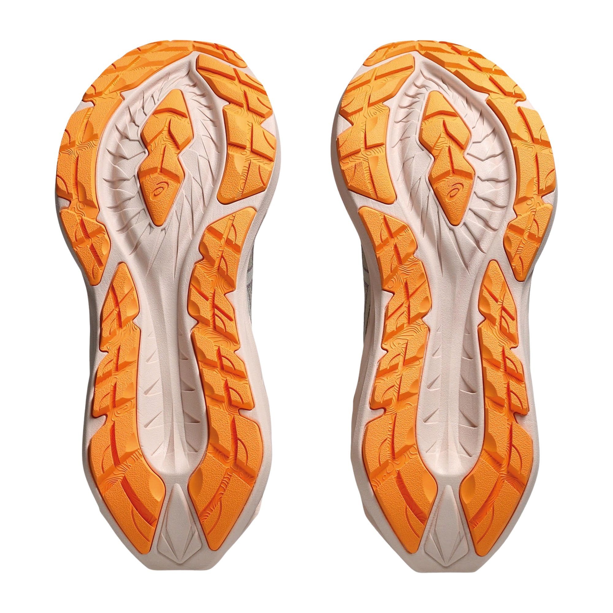 Asics Novablast 4 TR Running shoes Women | Plutosport
