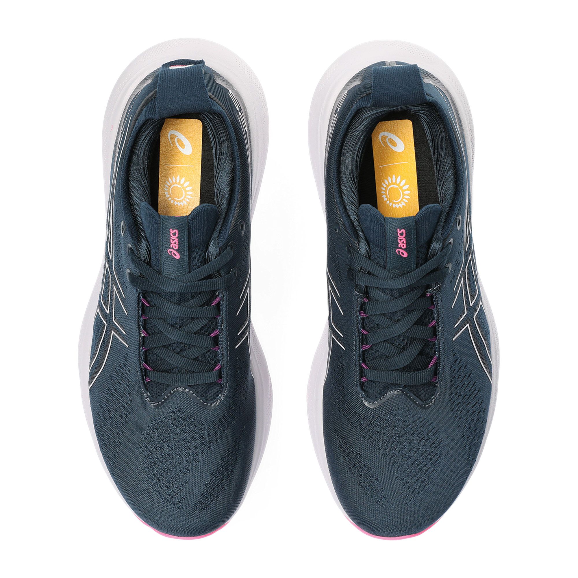 Asics Gel-Nimbus 25 Hardloopschoen Dames