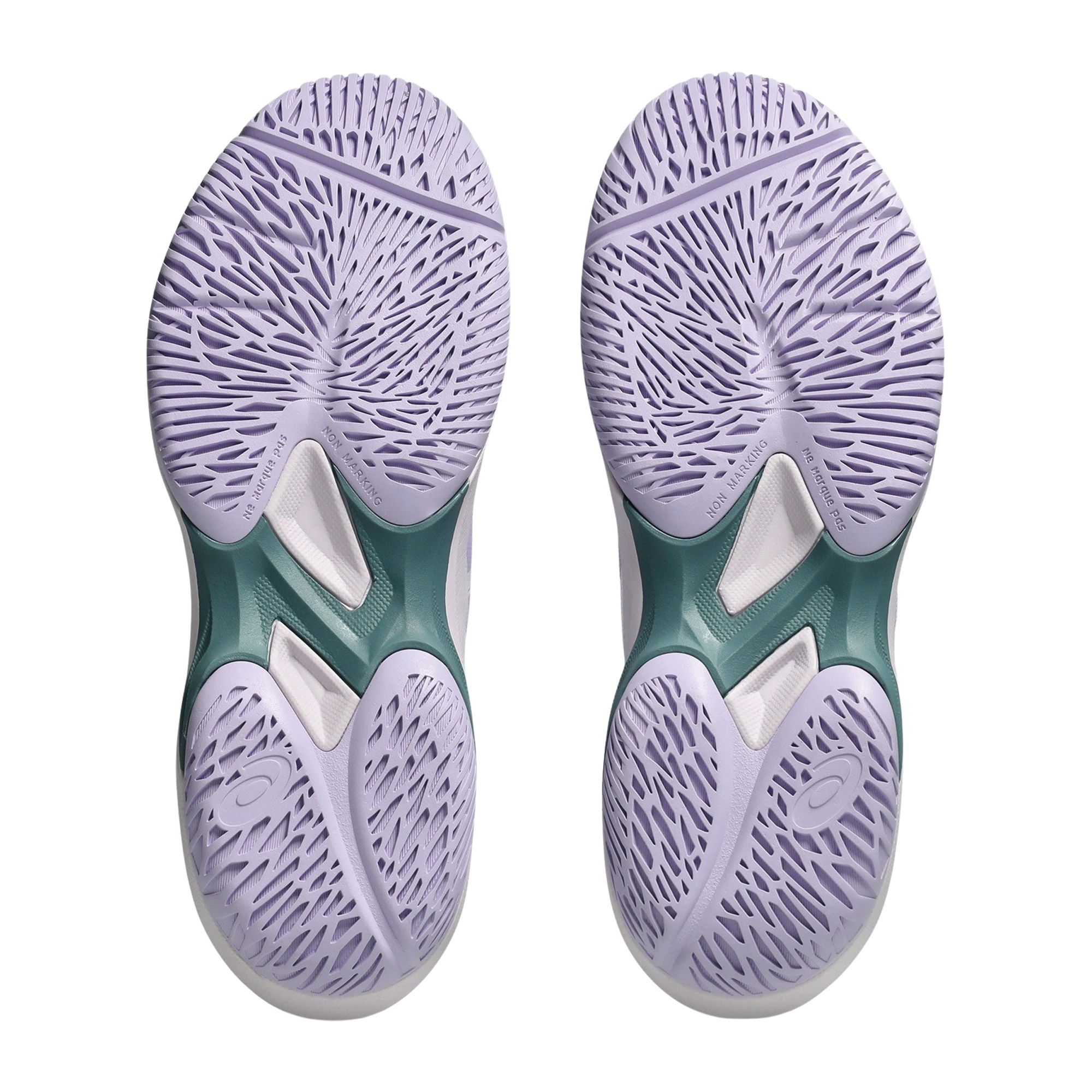 Chaussures de salle Asics Court Hunter FF Femmes