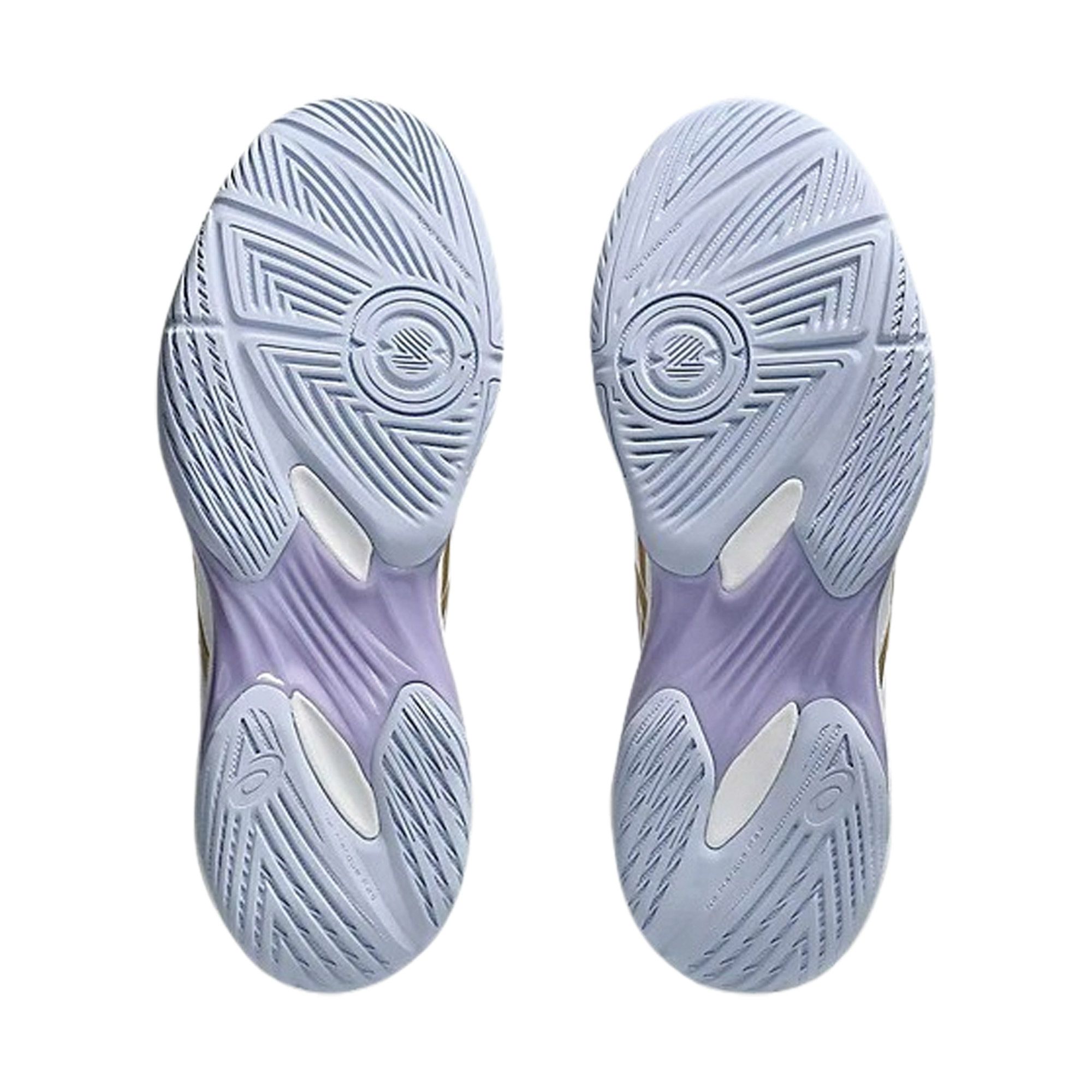 Asics Gel-Rocket 12 Indoorschoenen Dames