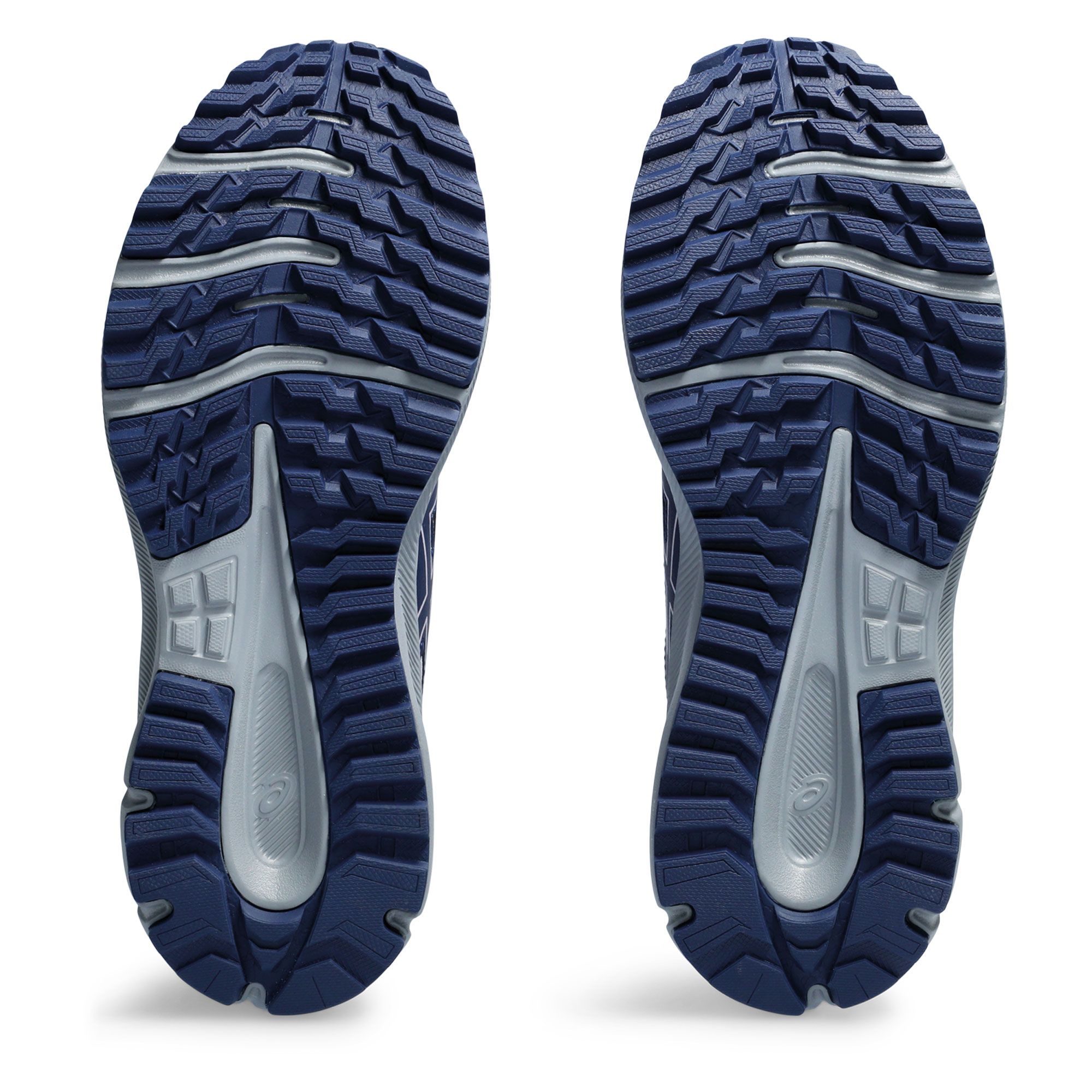 Asics Trail Scout 3 Trailrunningschoenen Dames